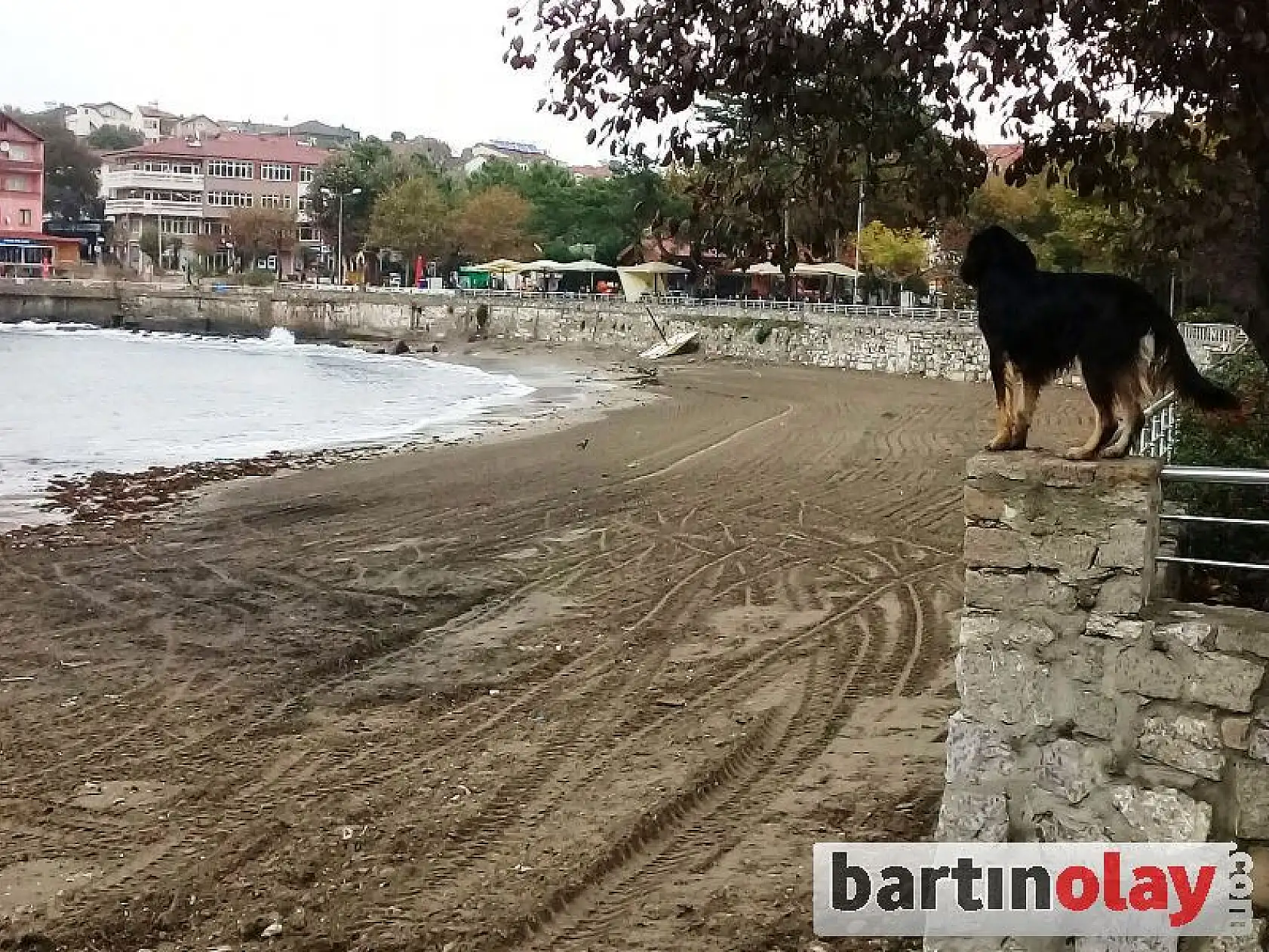 Amasra sahili çöpten temizlendi