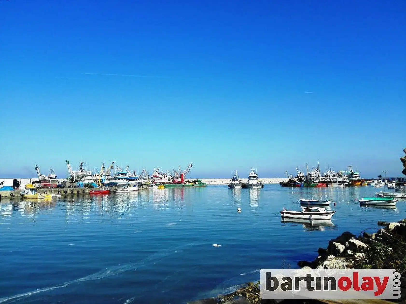 Karadeniz'den hamsi fışkırıyor