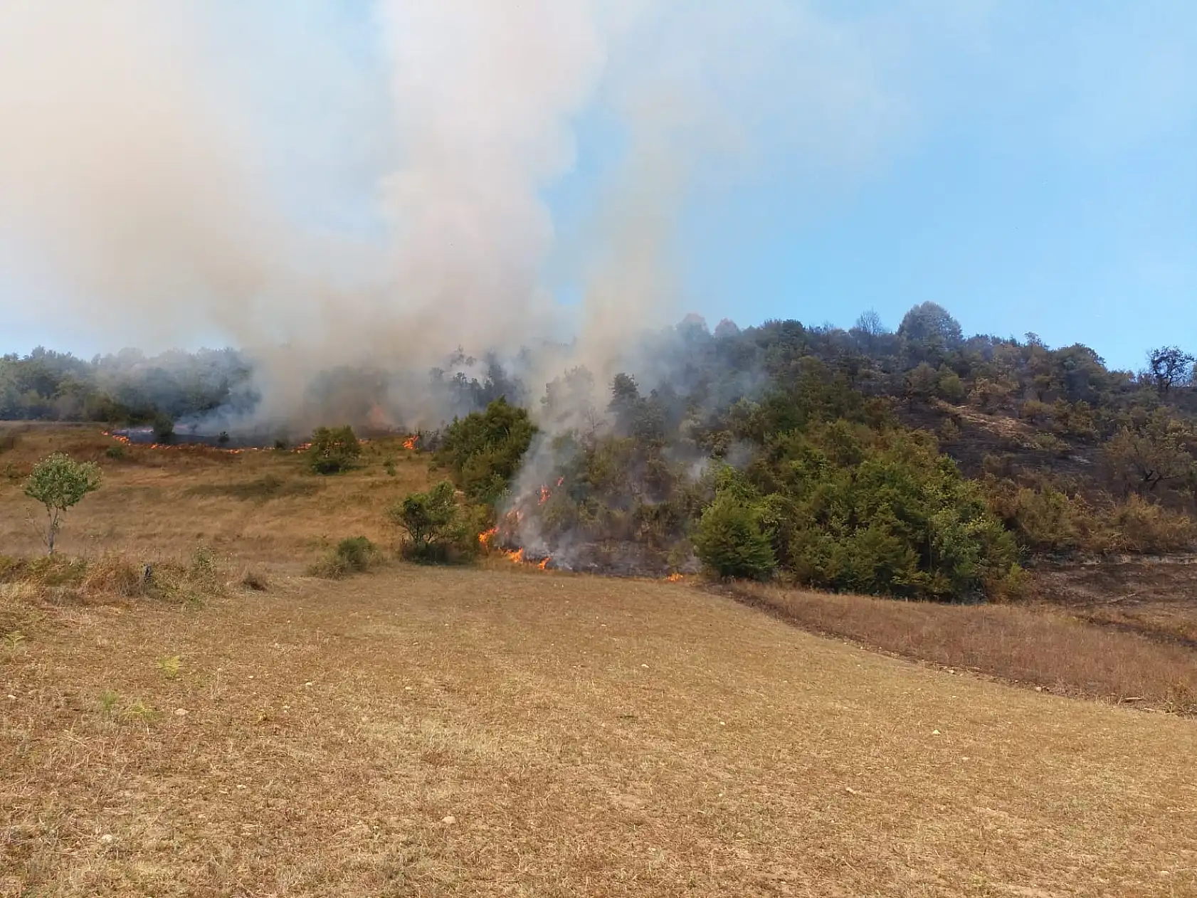 Bartın'da orman yangını