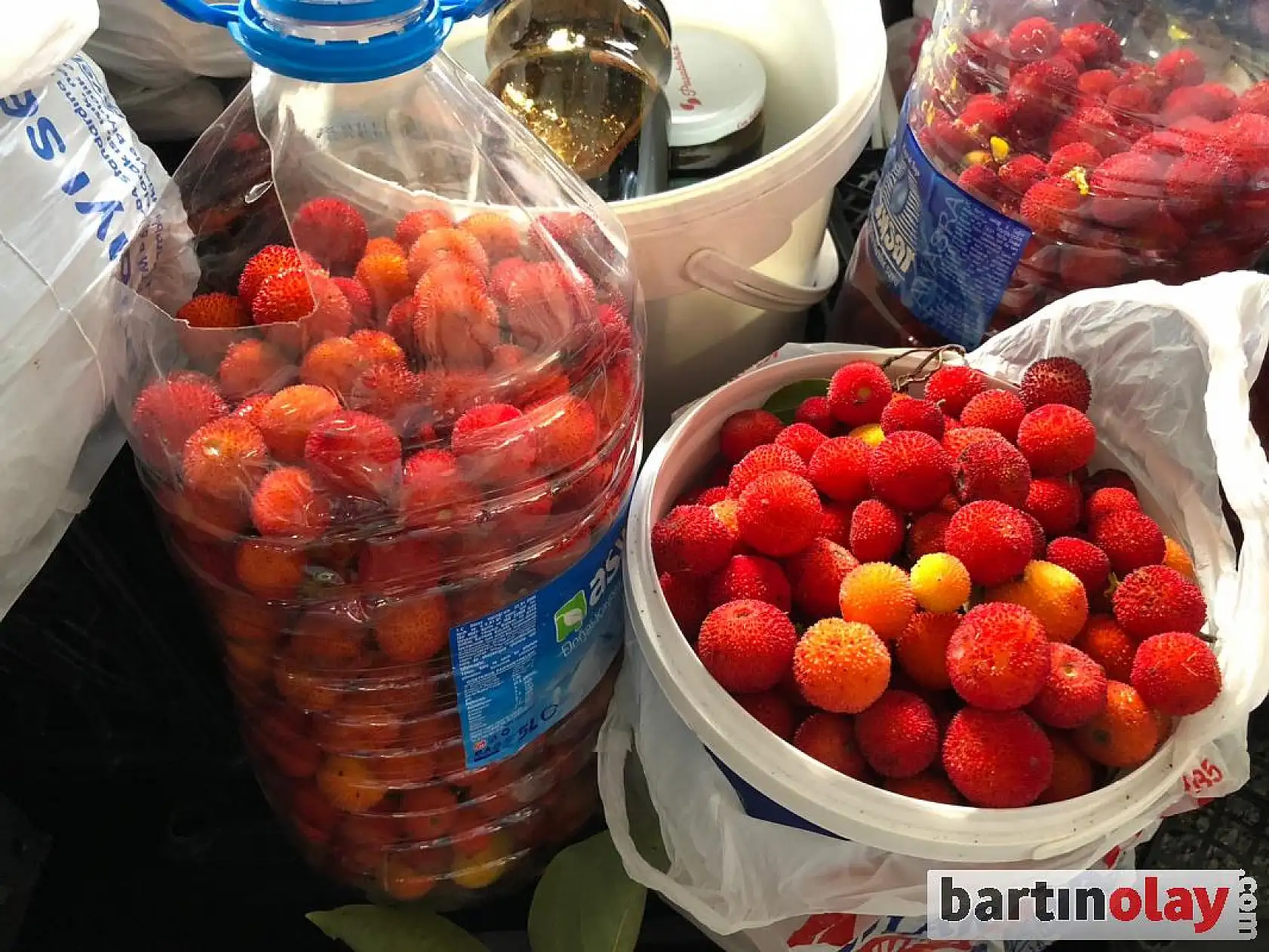 Bartın'da Salı pazarının nabzı