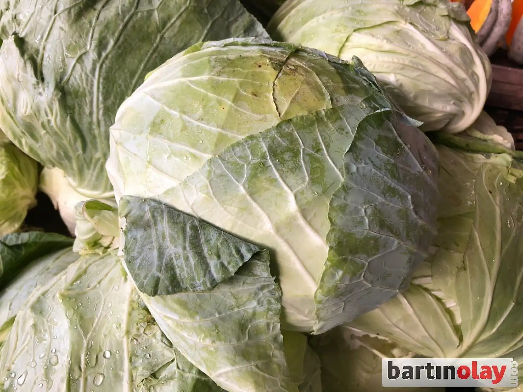 Bartın'da Salı pazarının nabzı