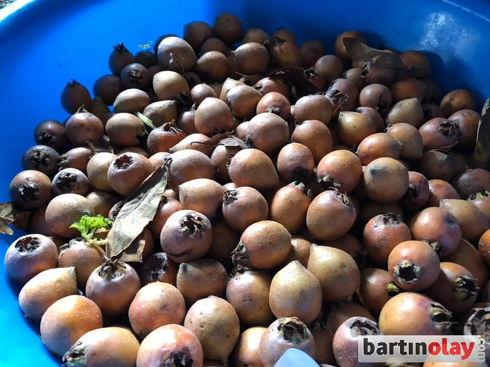 Bartın'da Salı pazarının nabzı