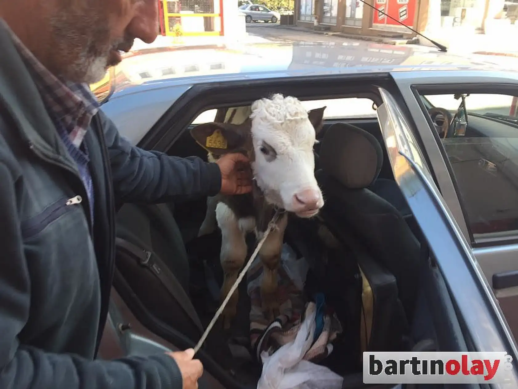 Bartın'da Şaşırtan yolculuk