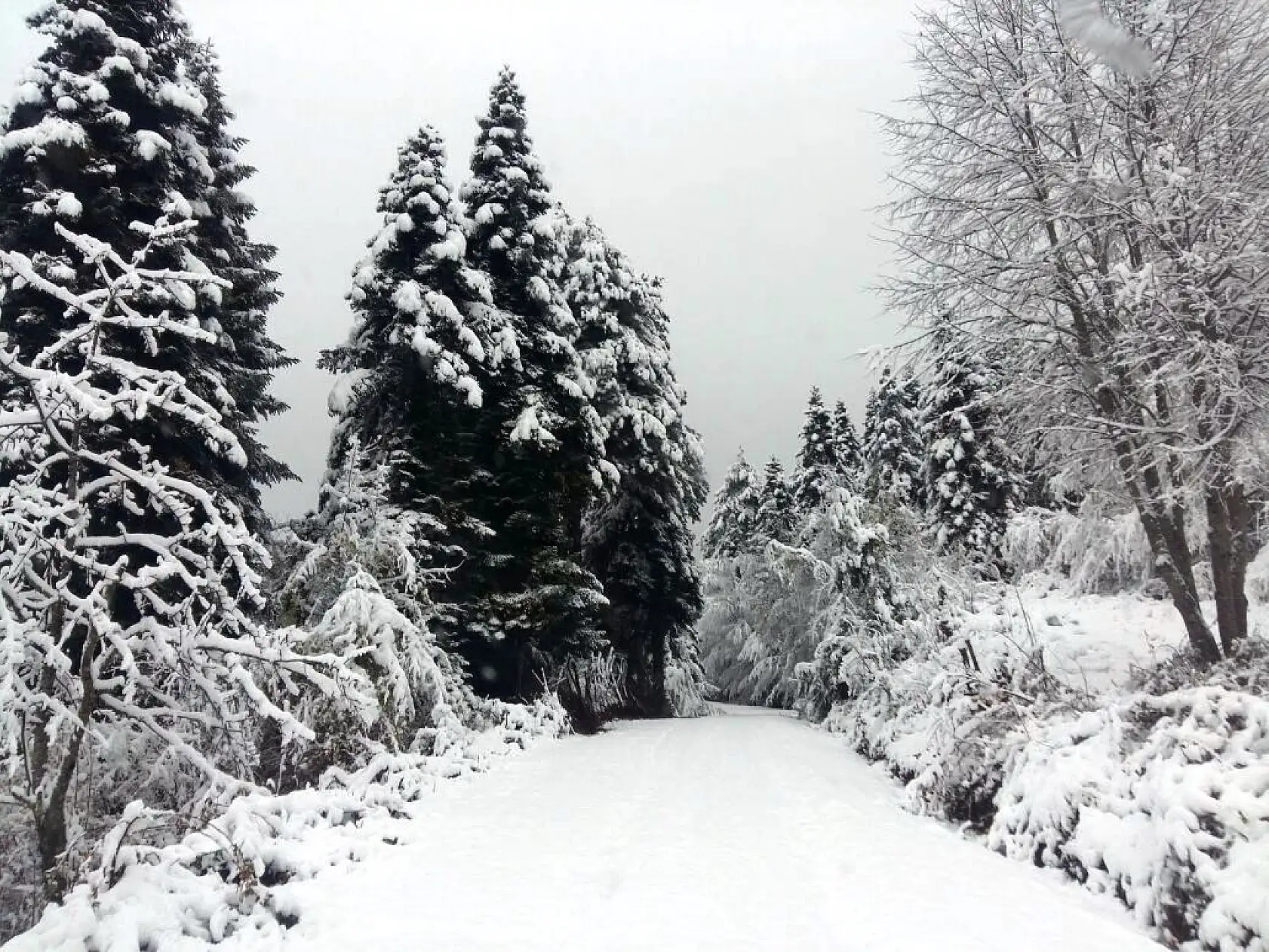 Bartın'dan kartpostallık kar manzaraları