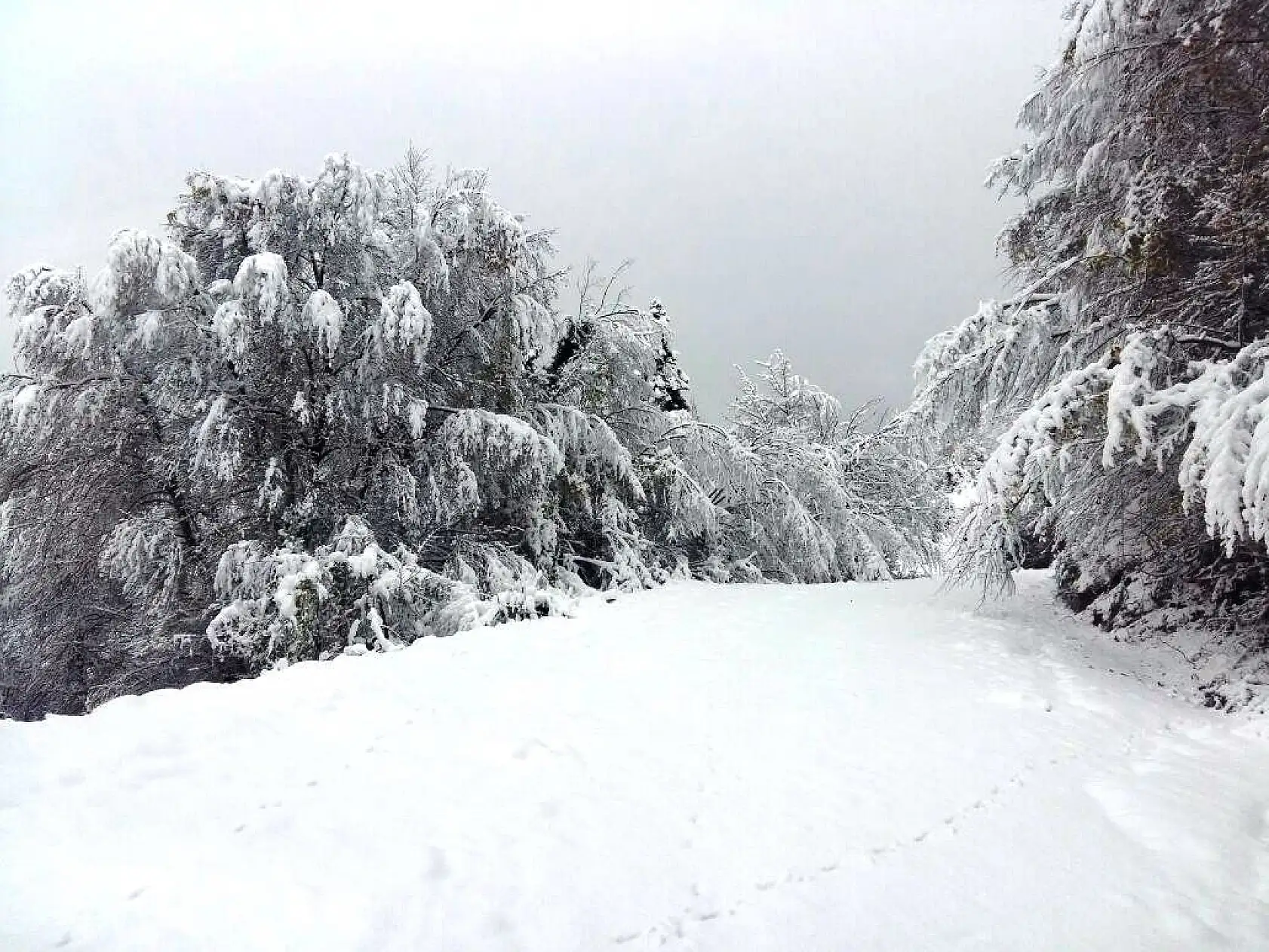 Bartın'dan kartpostallık kar manzaraları