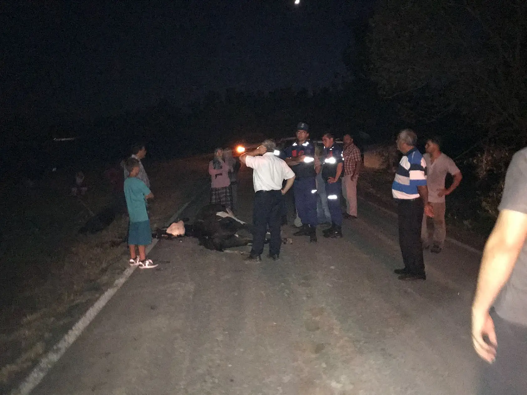 Başıboş hayvanlar gece büyük tehlike