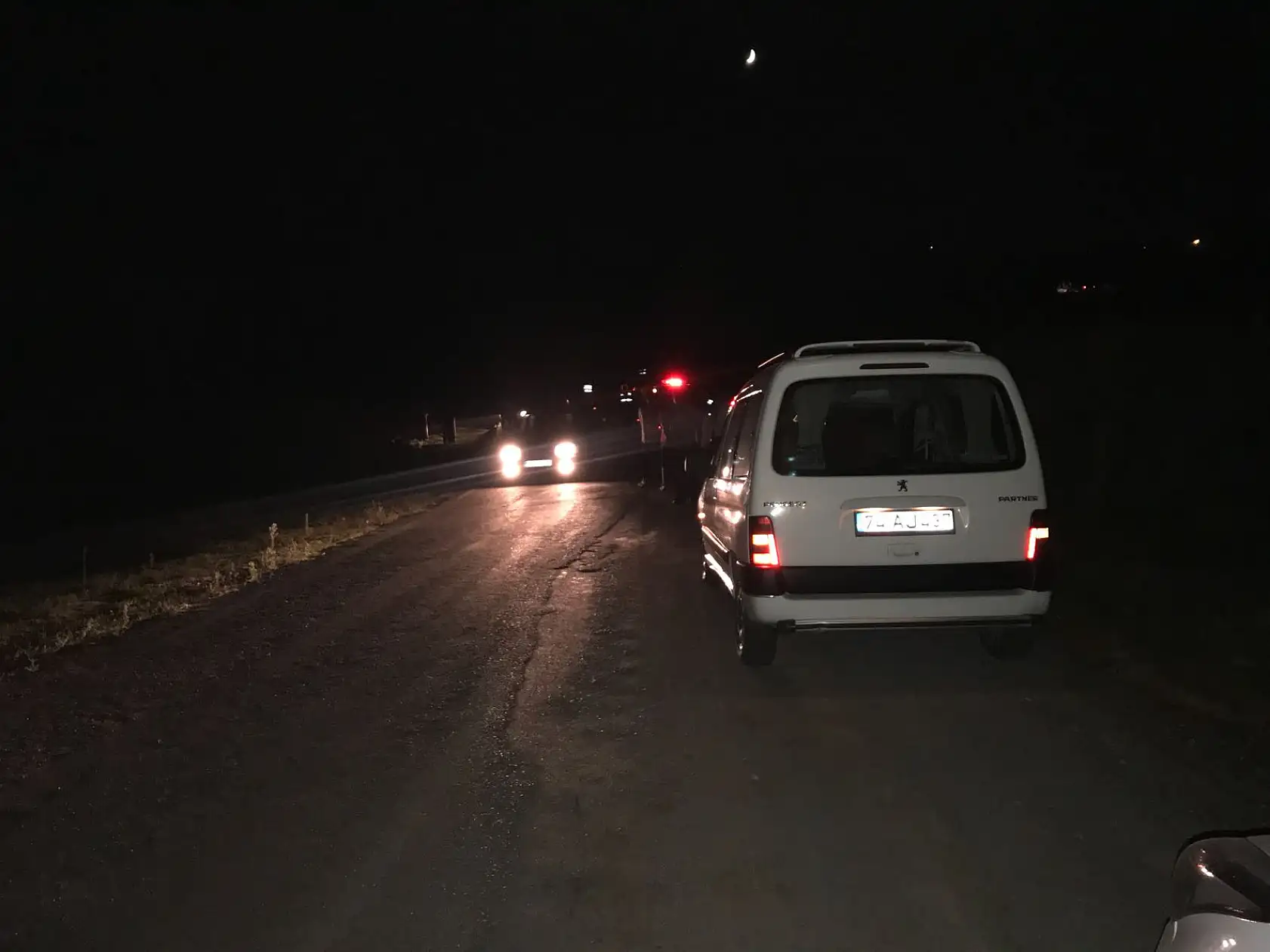 Başıboş hayvanlar gece büyük tehlike