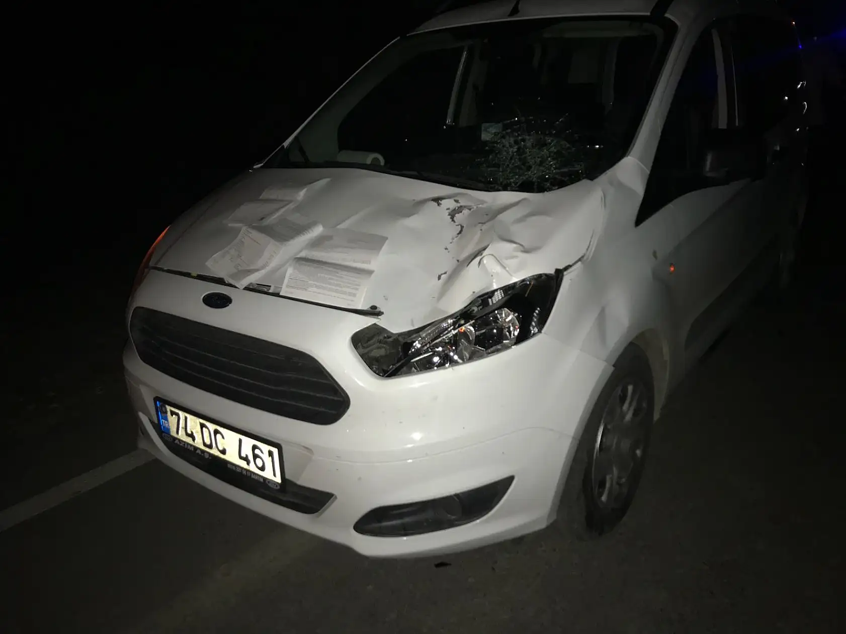 Başıboş hayvanlar gece büyük tehlike