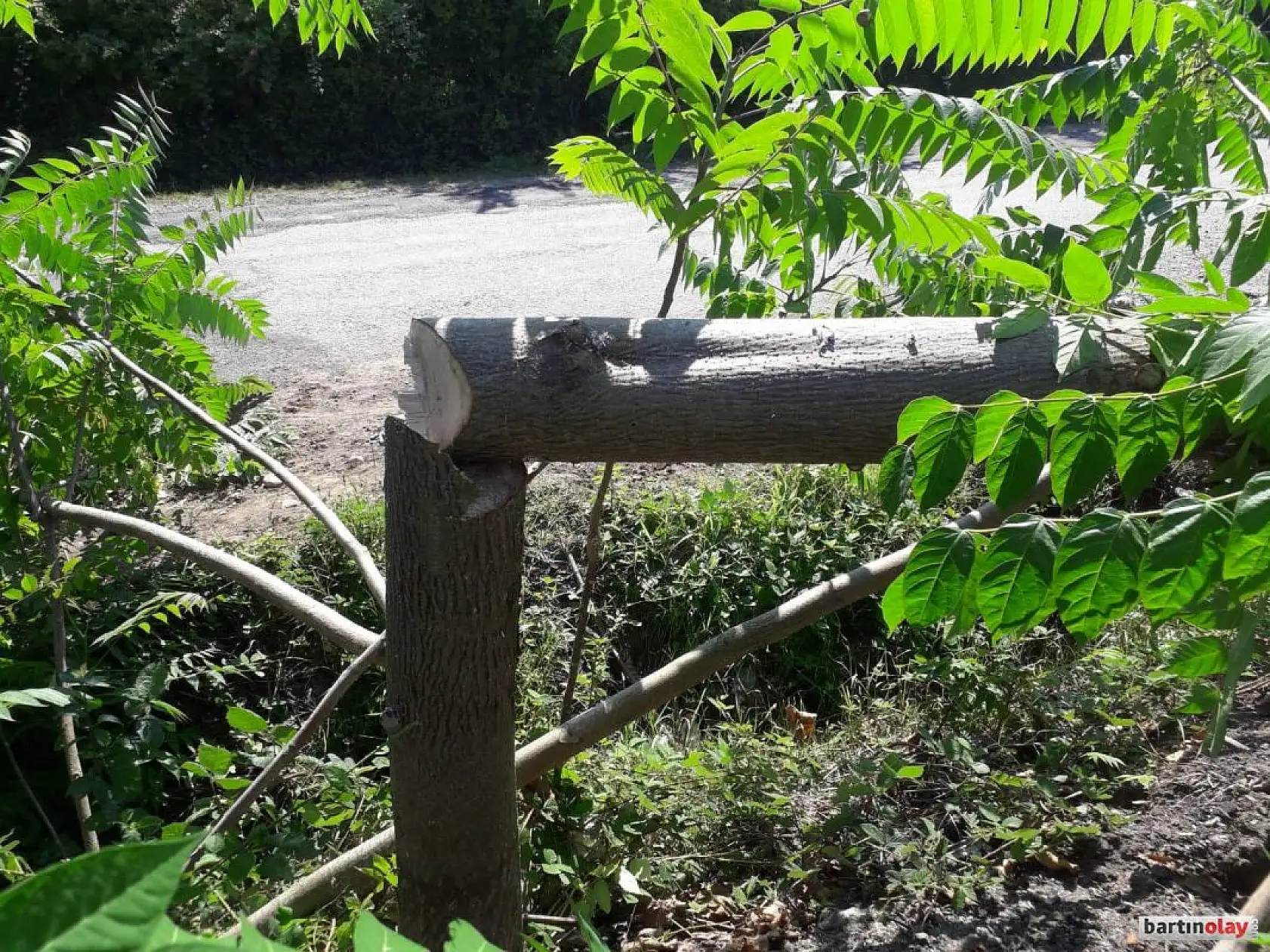 Bu katliama kim dur diyecek?