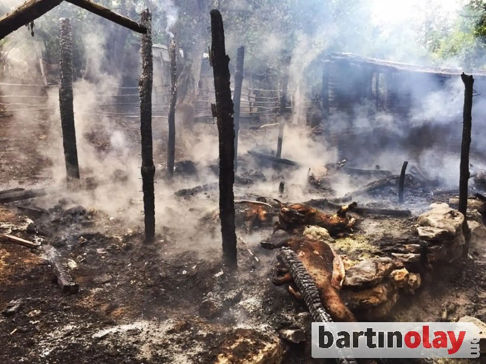 Ahır yangınında 6 hayvan telef oldu