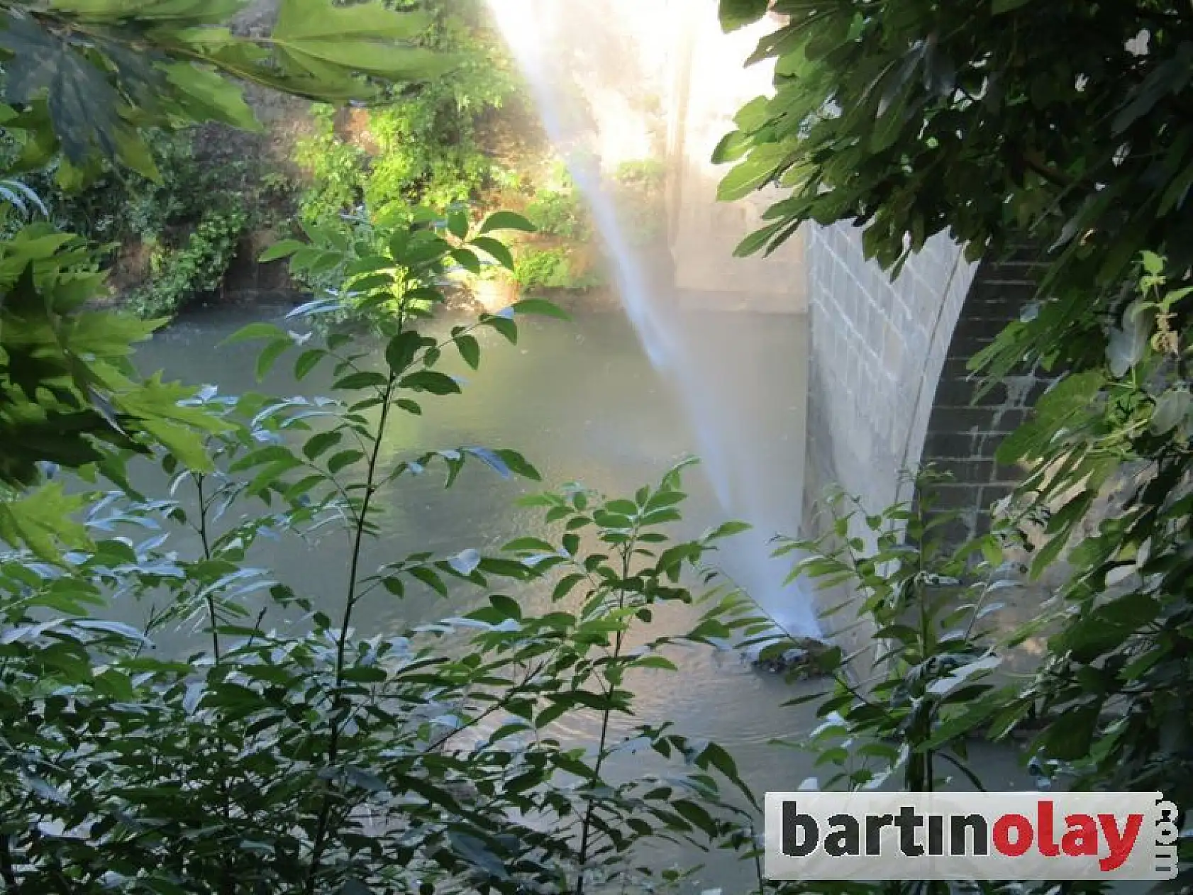 Irmağında balıklar can çekişiyor