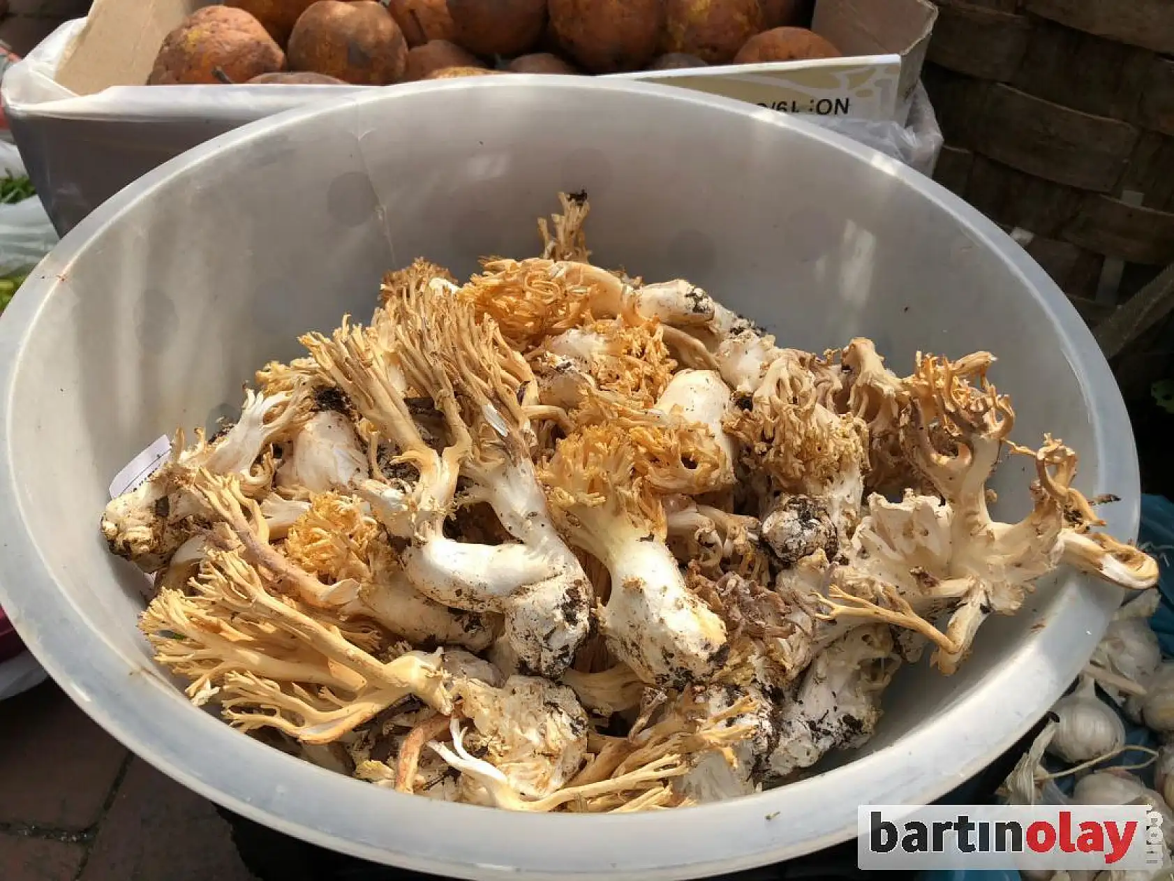 Galla pazarında sebze bolluğu