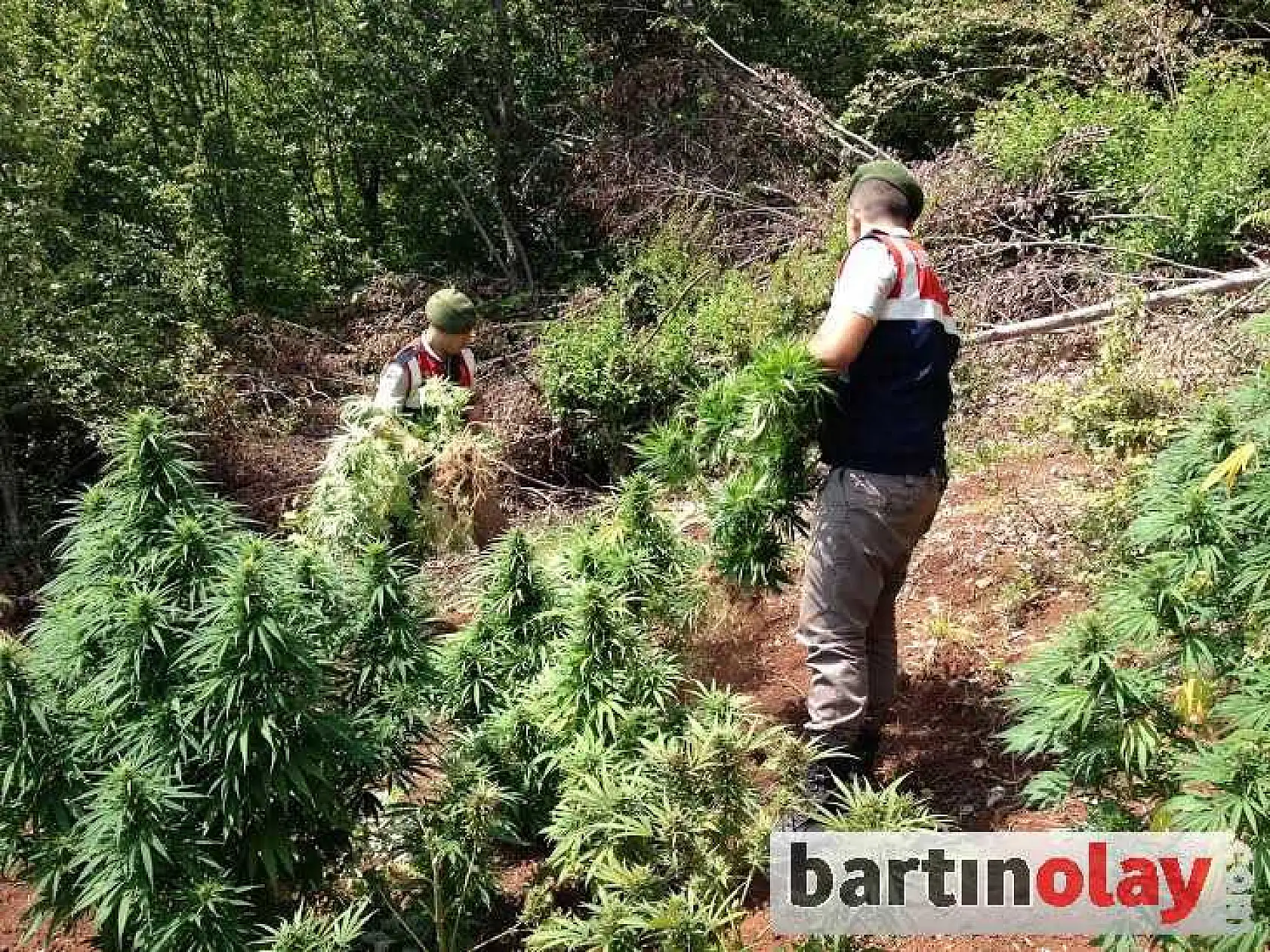 ULUS'TA UYUŞTURUCU OPERASYONU