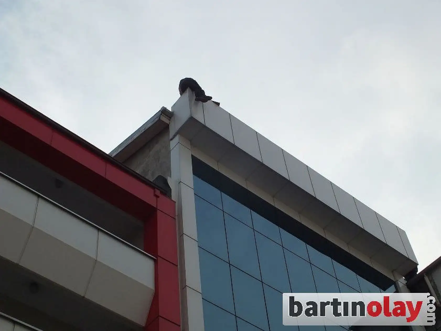 Çaycuma'da 2. İntihar Girişimi