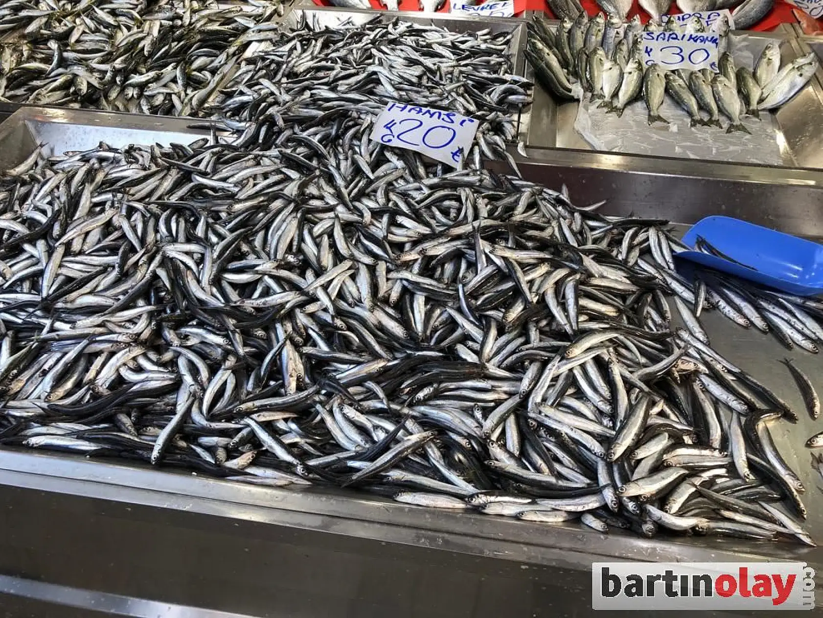 Galla pazarında çeşit bol ama...