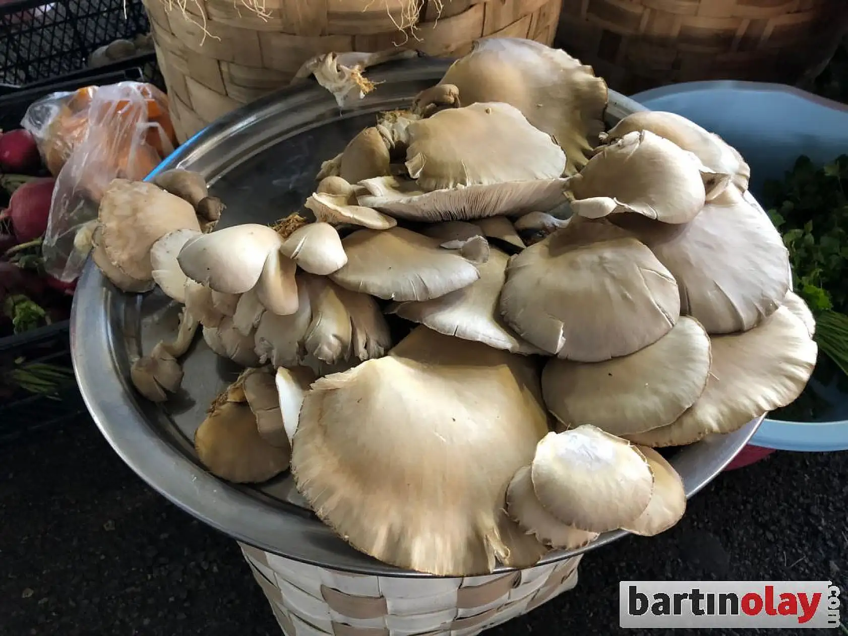 Galla pazarında çeşit bol ama...