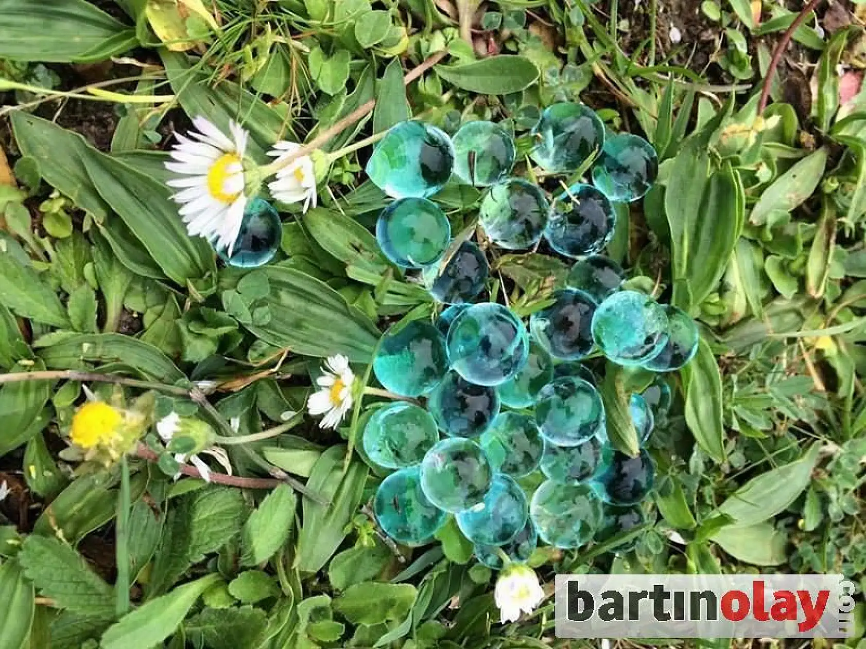 Gökten Gizemli Mavi Küreler Yağdı