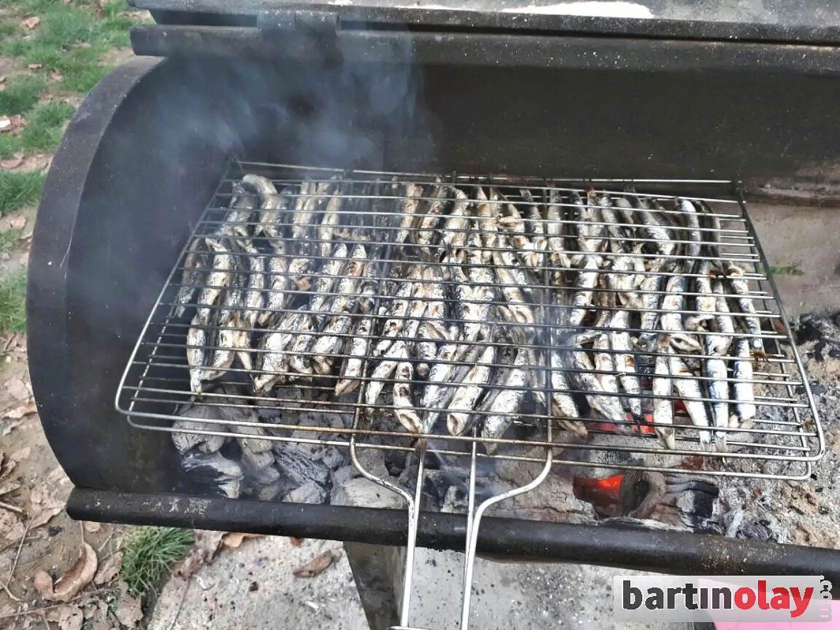 Hamsi ızgara sezonu açıldı