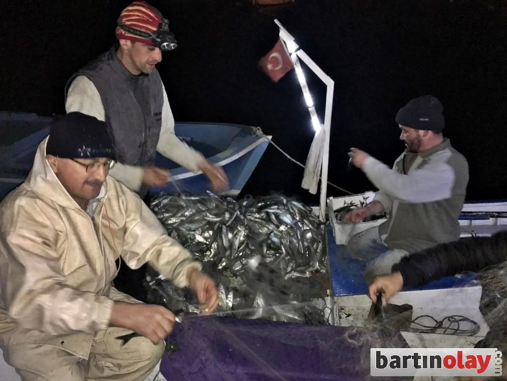 Hey Maşallah, derya kuzusu bunlar