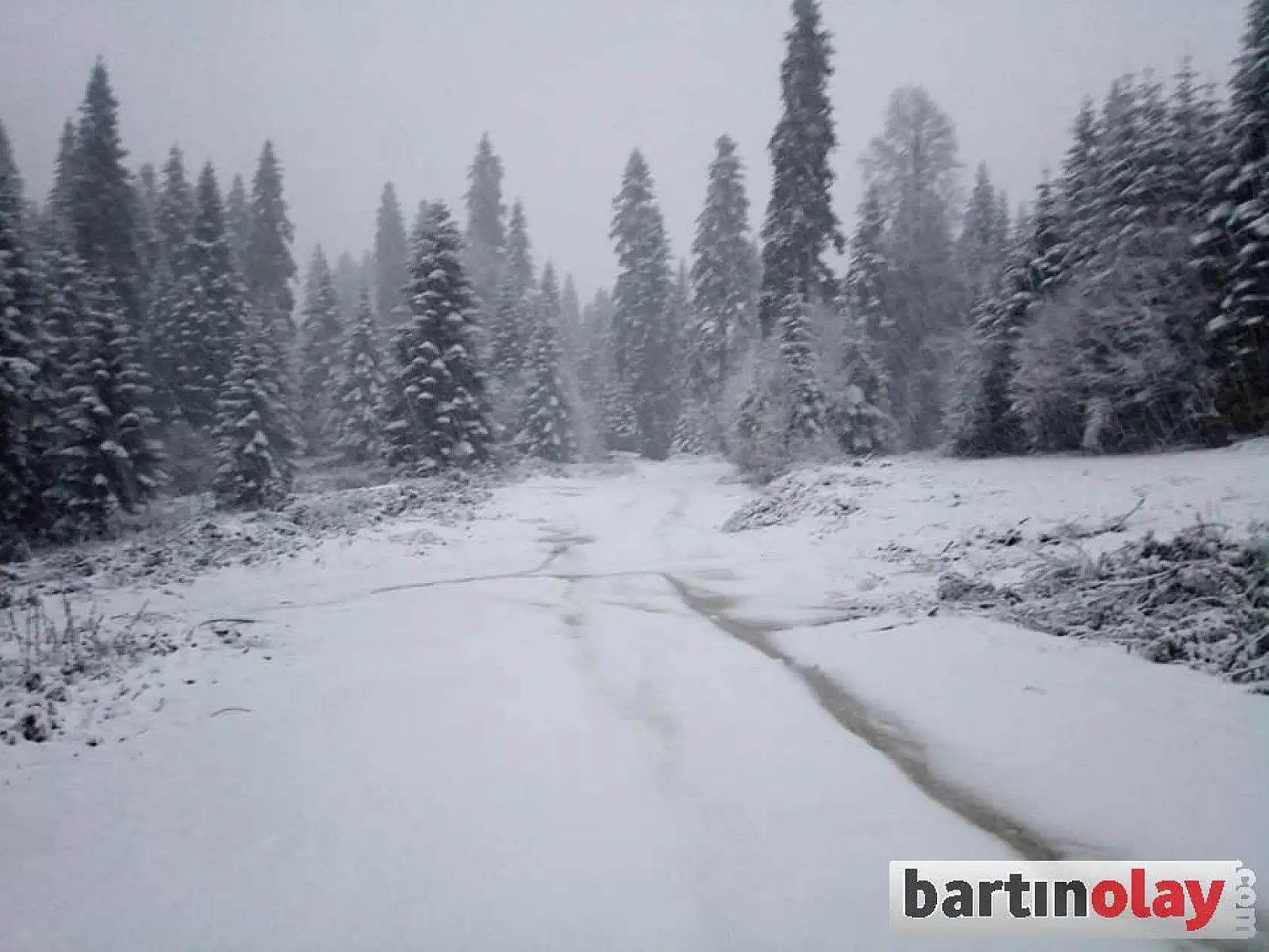 İlk kar düştü, her yer beyaza büründü