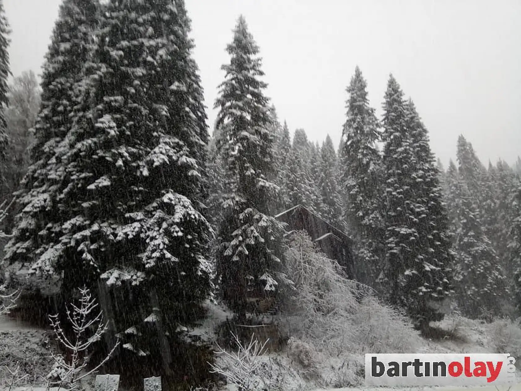 İlk kar düştü, her yer beyaza büründü
