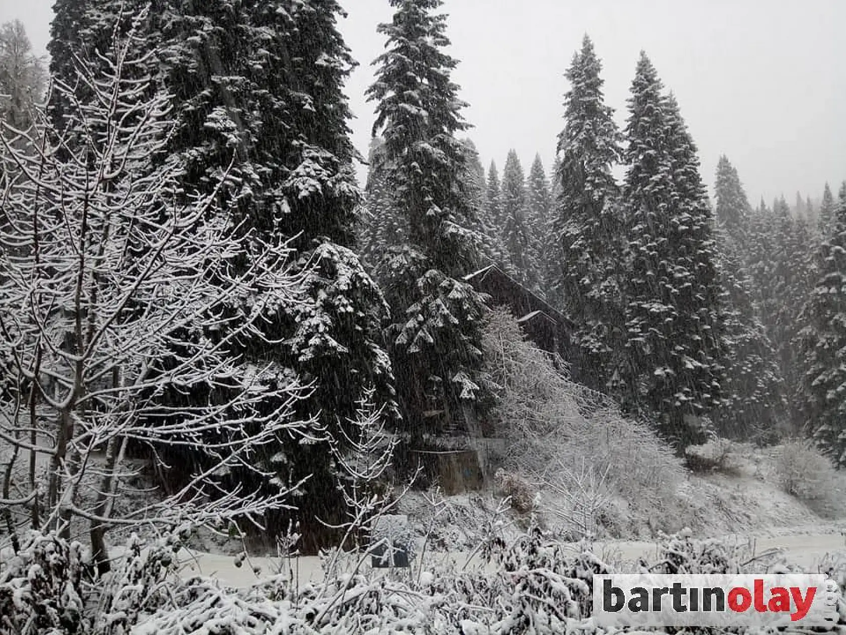 İlk kar düştü, her yer beyaza büründü