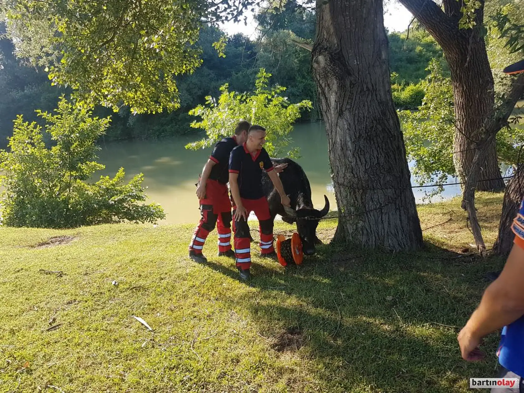 Irmakta manda operasyonu