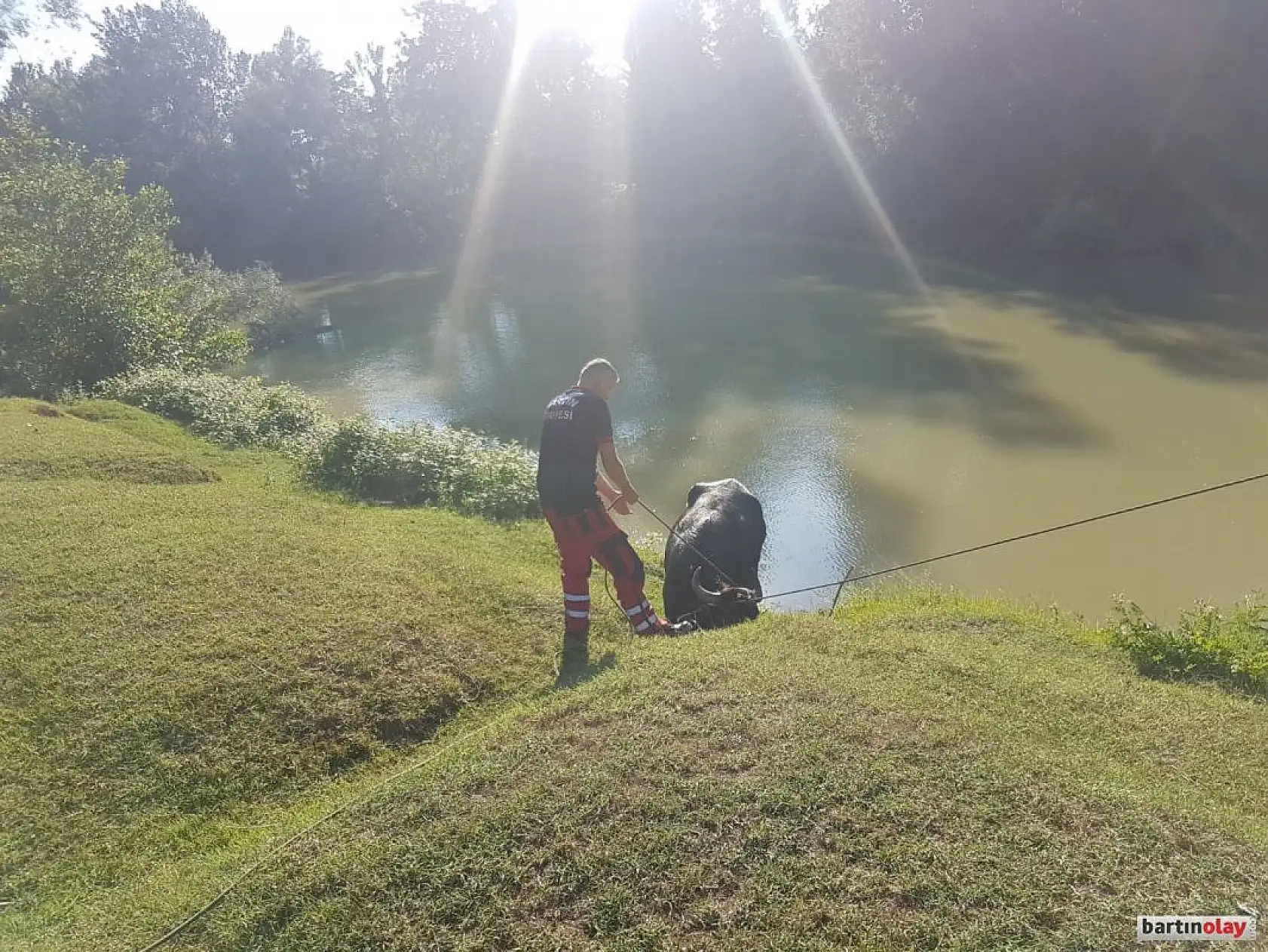 Irmakta manda operasyonu