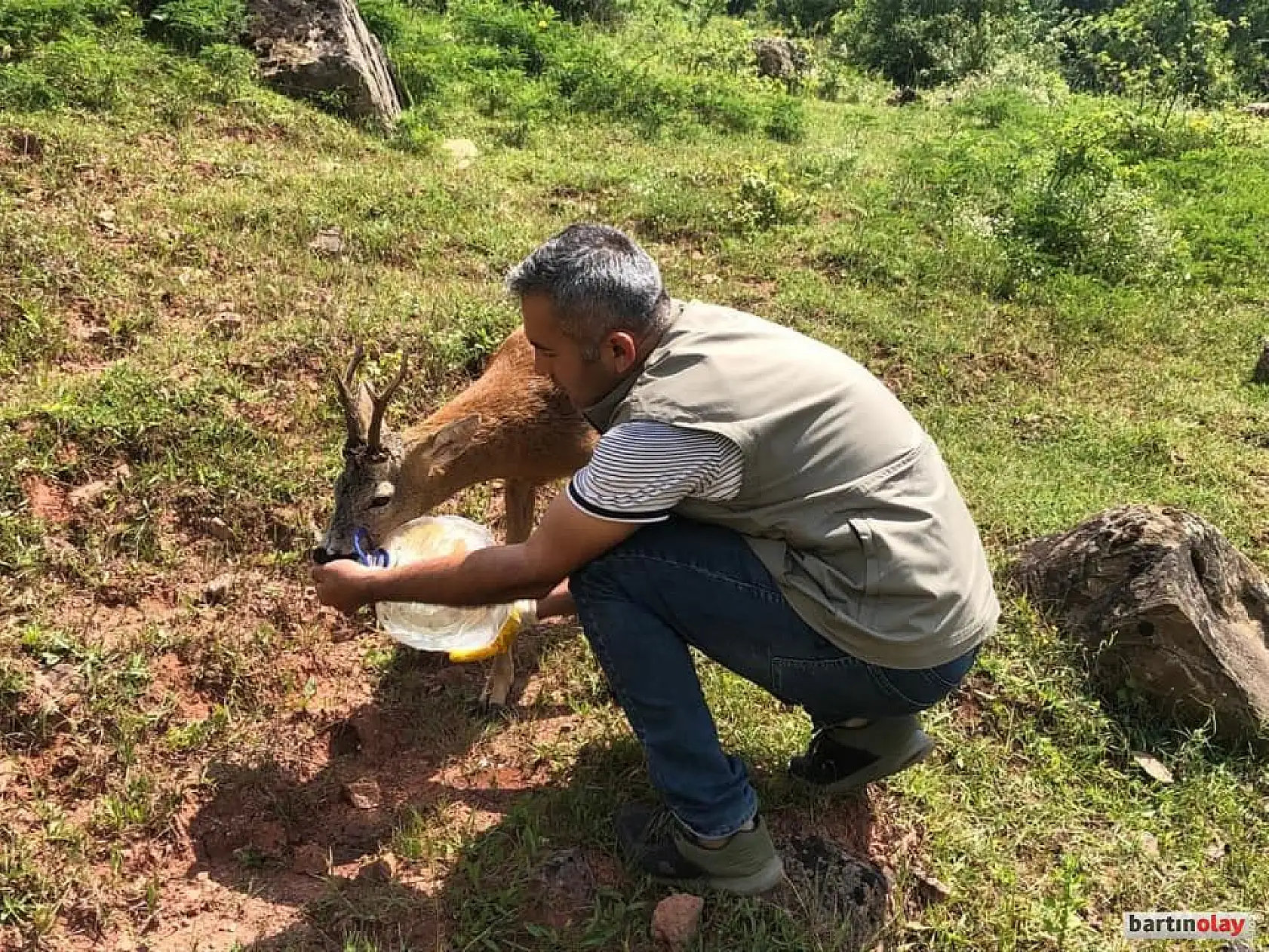 Karacanın imdadına vatandaş yetişti