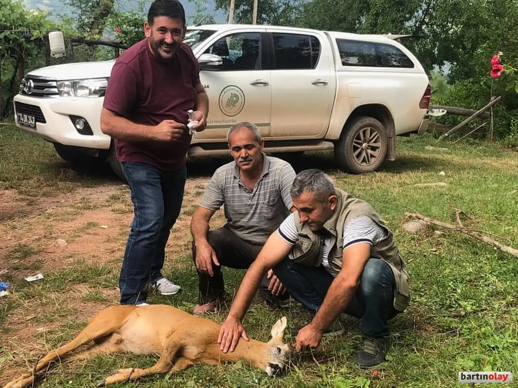 Karacanın imdadına vatandaş yetişti