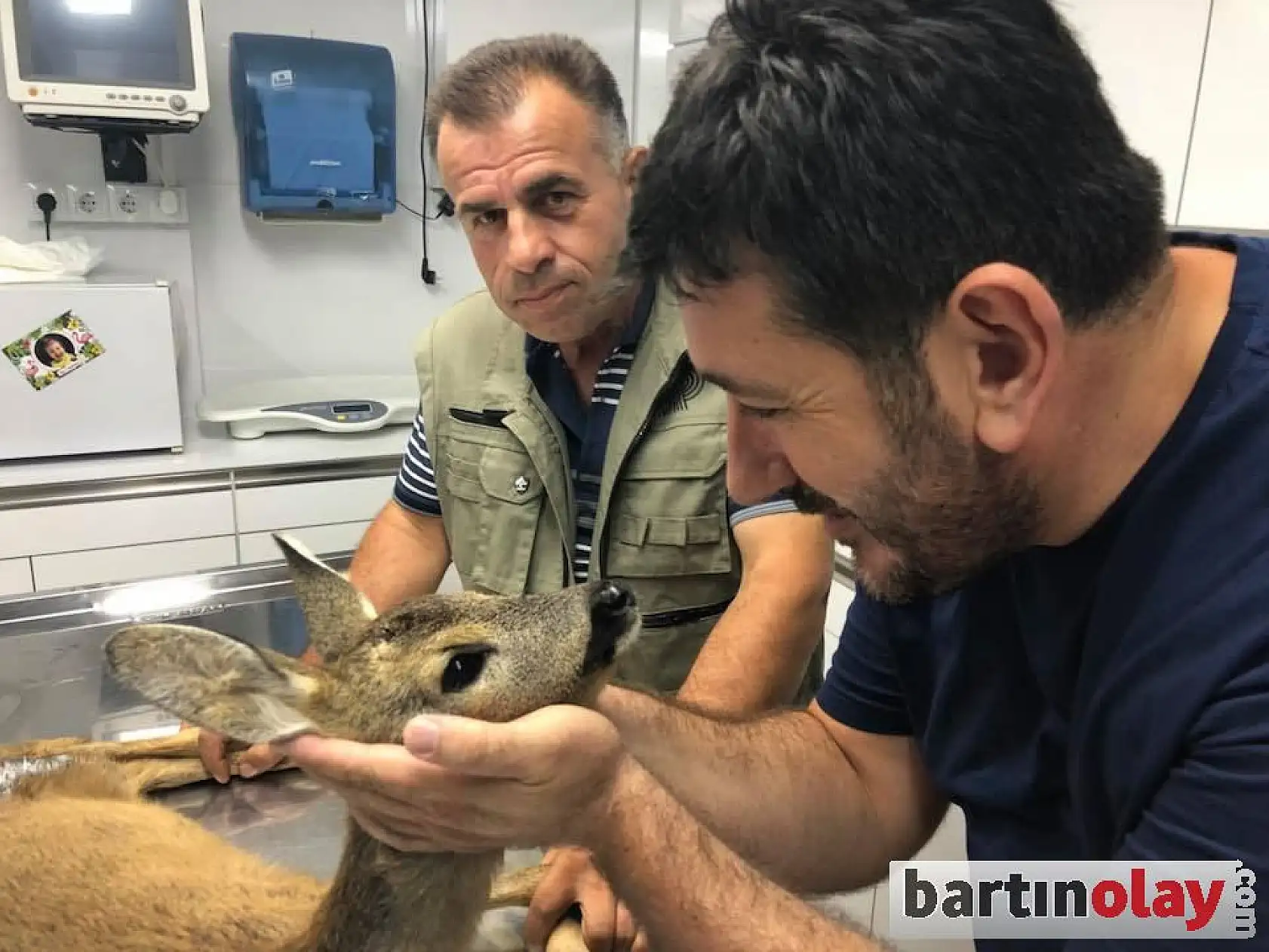 Karnına ağaç dalı saplanmış