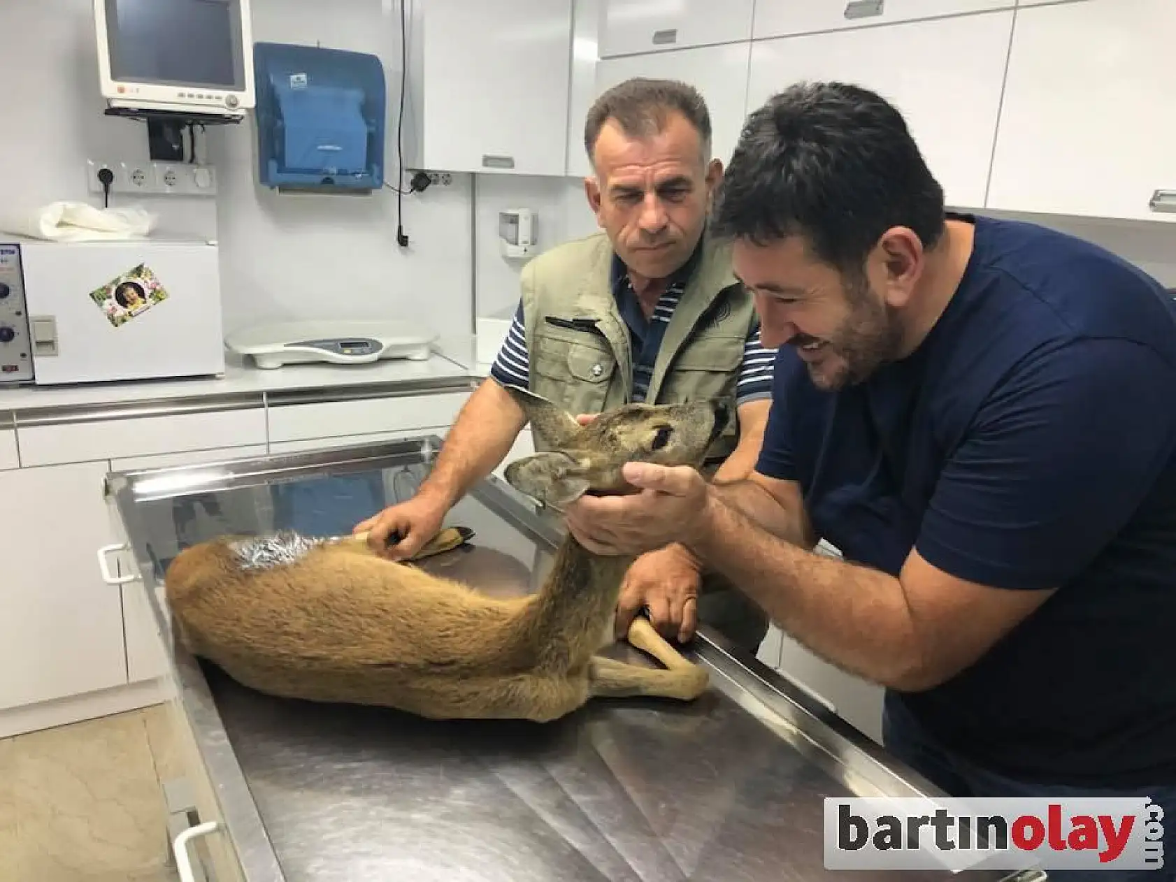 Karnına ağaç dalı saplanmış