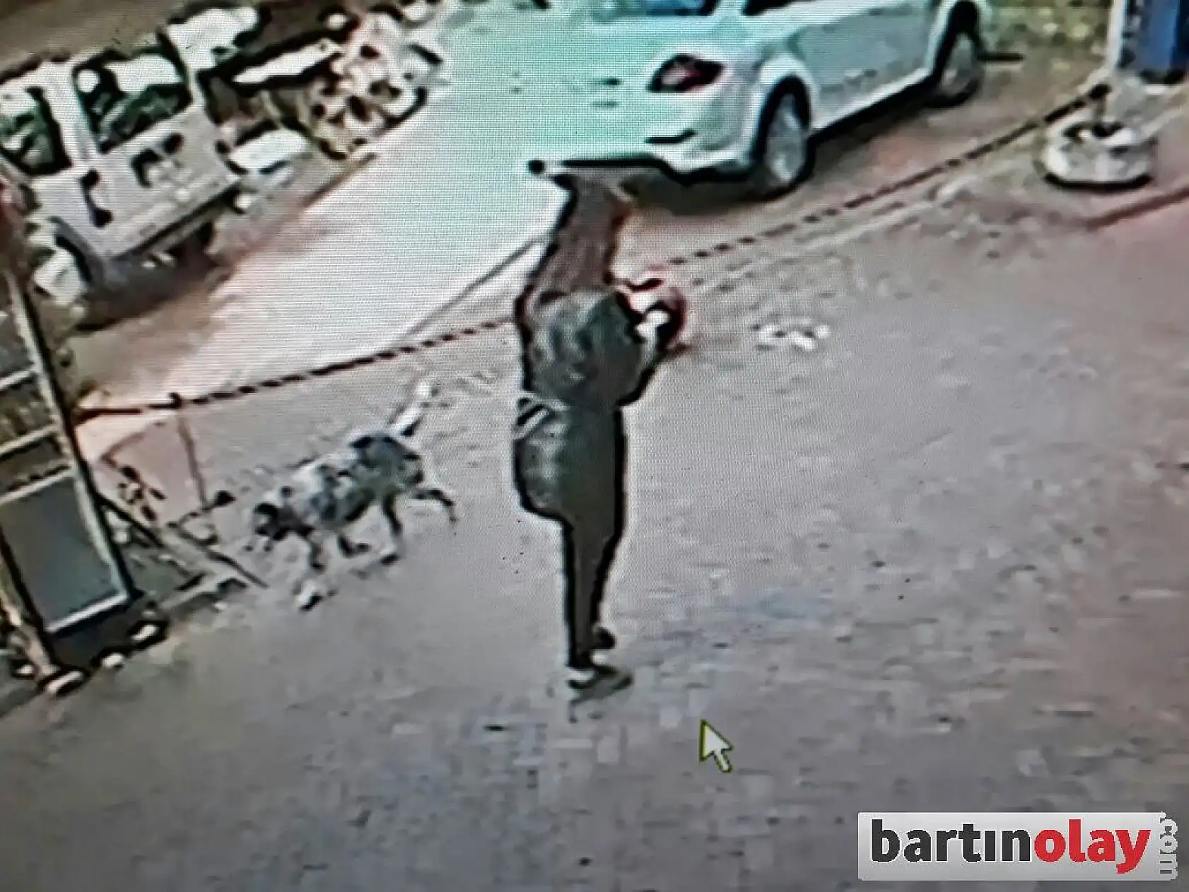 Kayalıklara düşmüş vaziyette bulundu