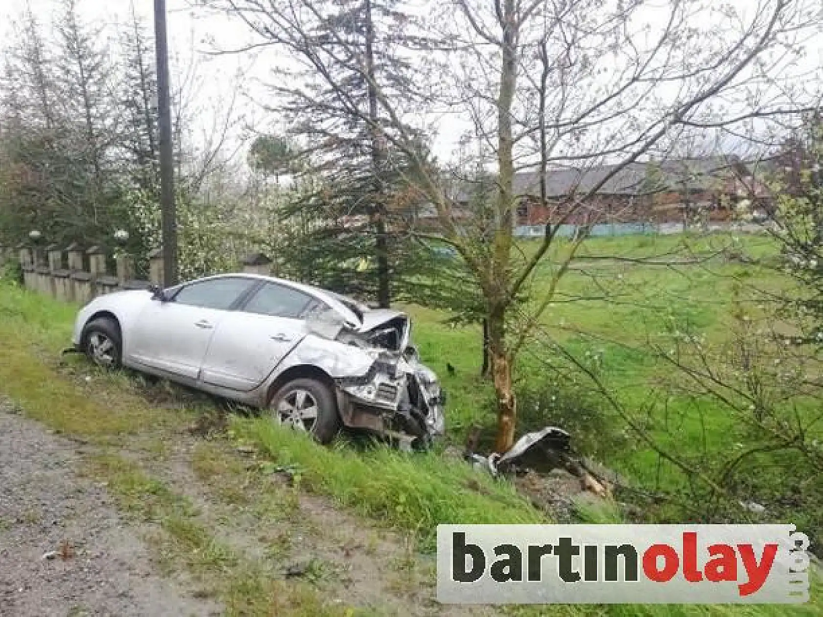 Kayan otomobil ağaca çarptı