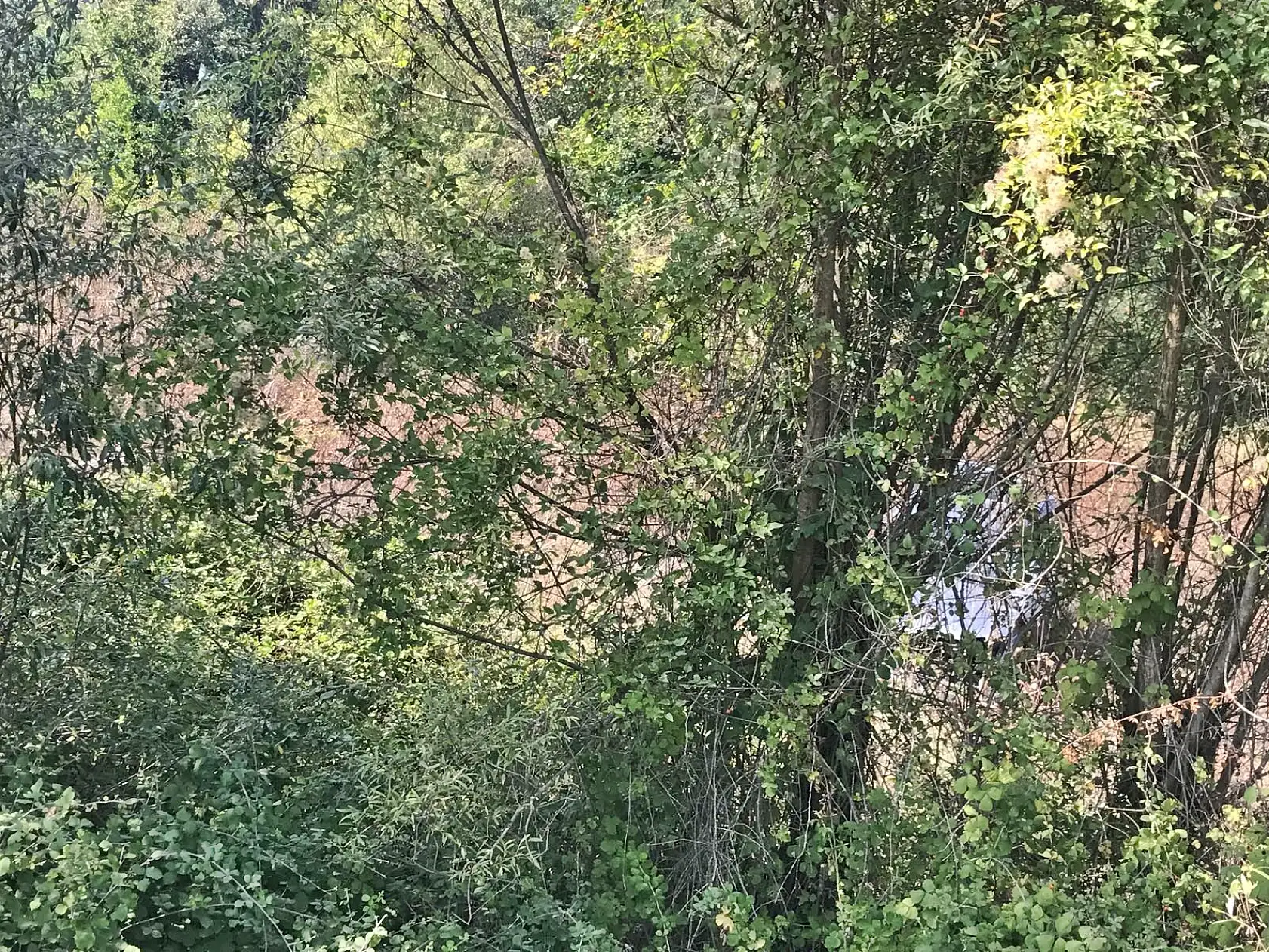 Kontrolden Çıkan Araç tarlaya Uçtu