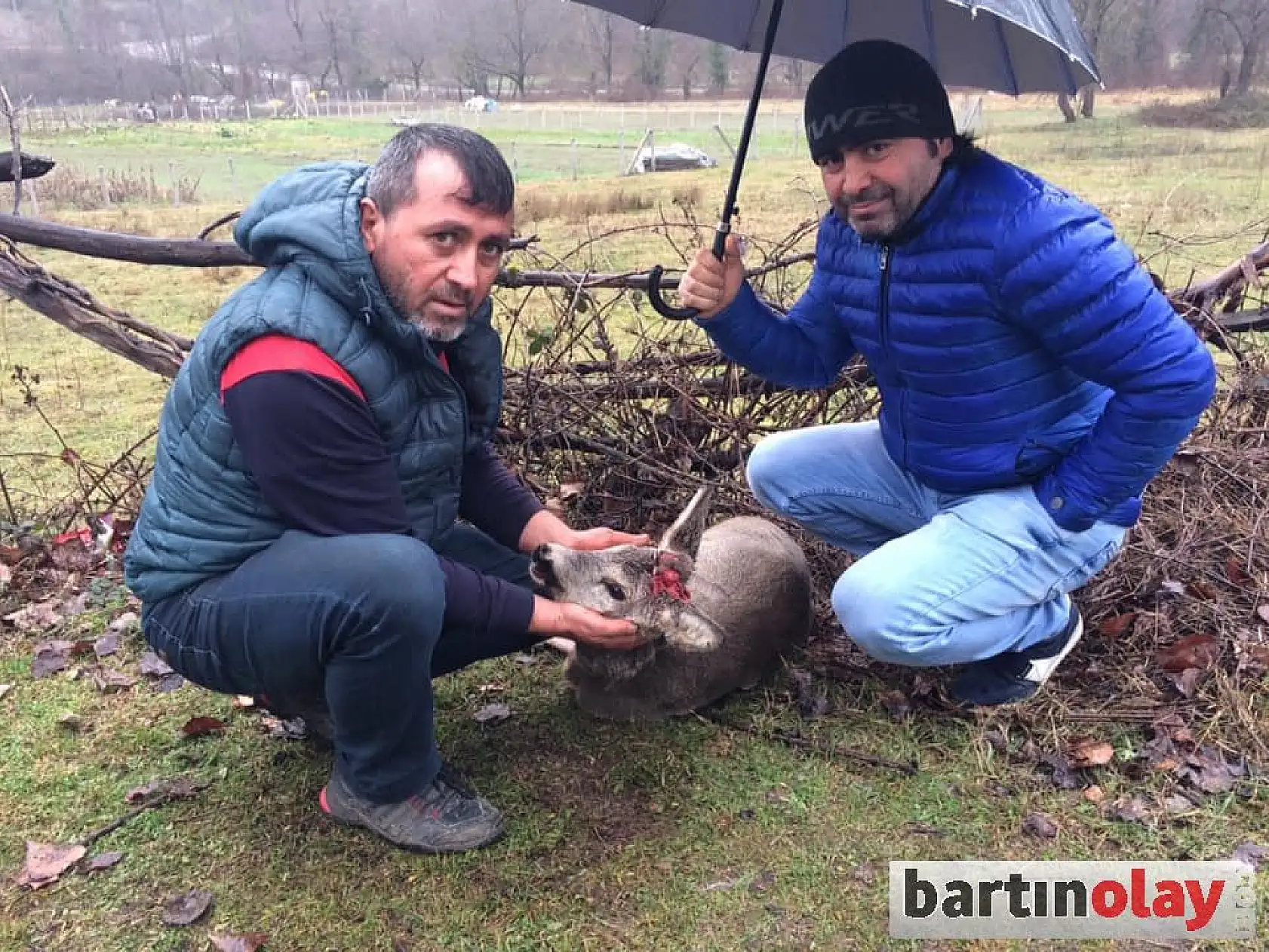 Köpeklerin saldırısına uğradı