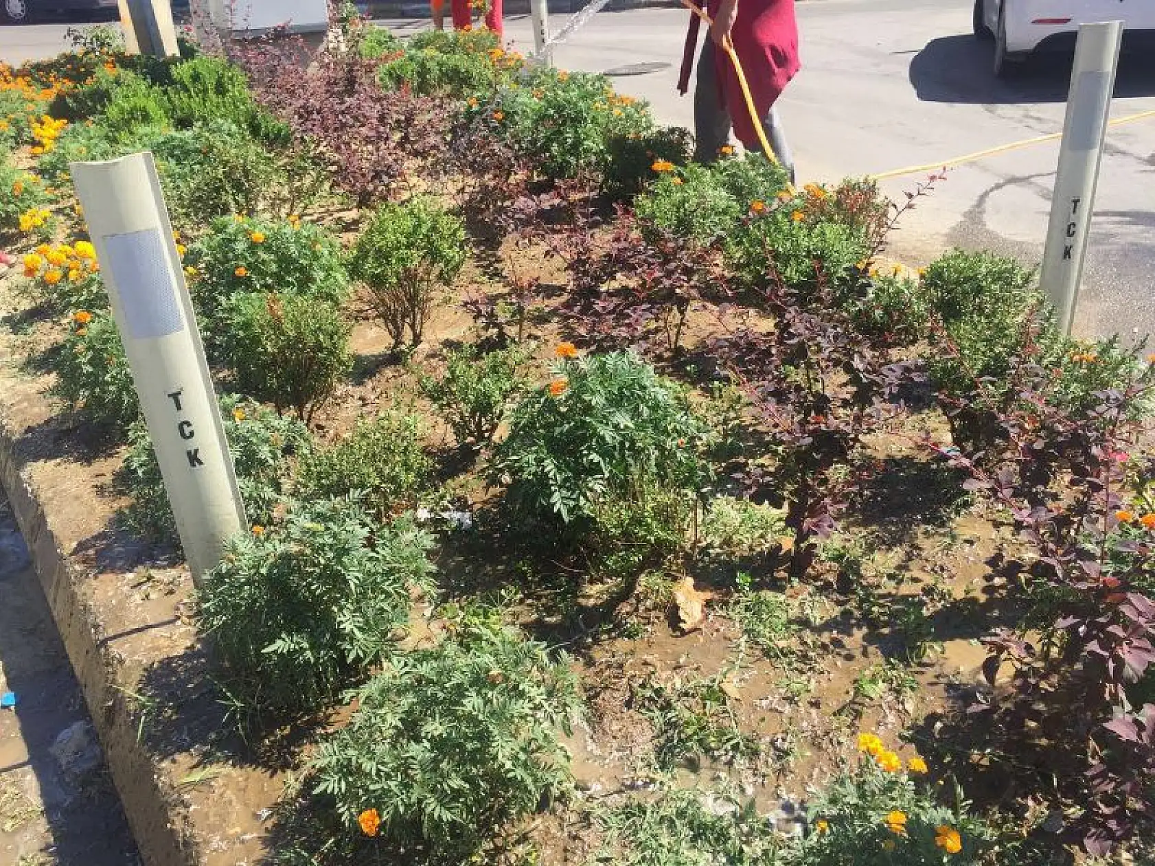 Kozcağız'da Kadın İşçiler Dikkat Çekti