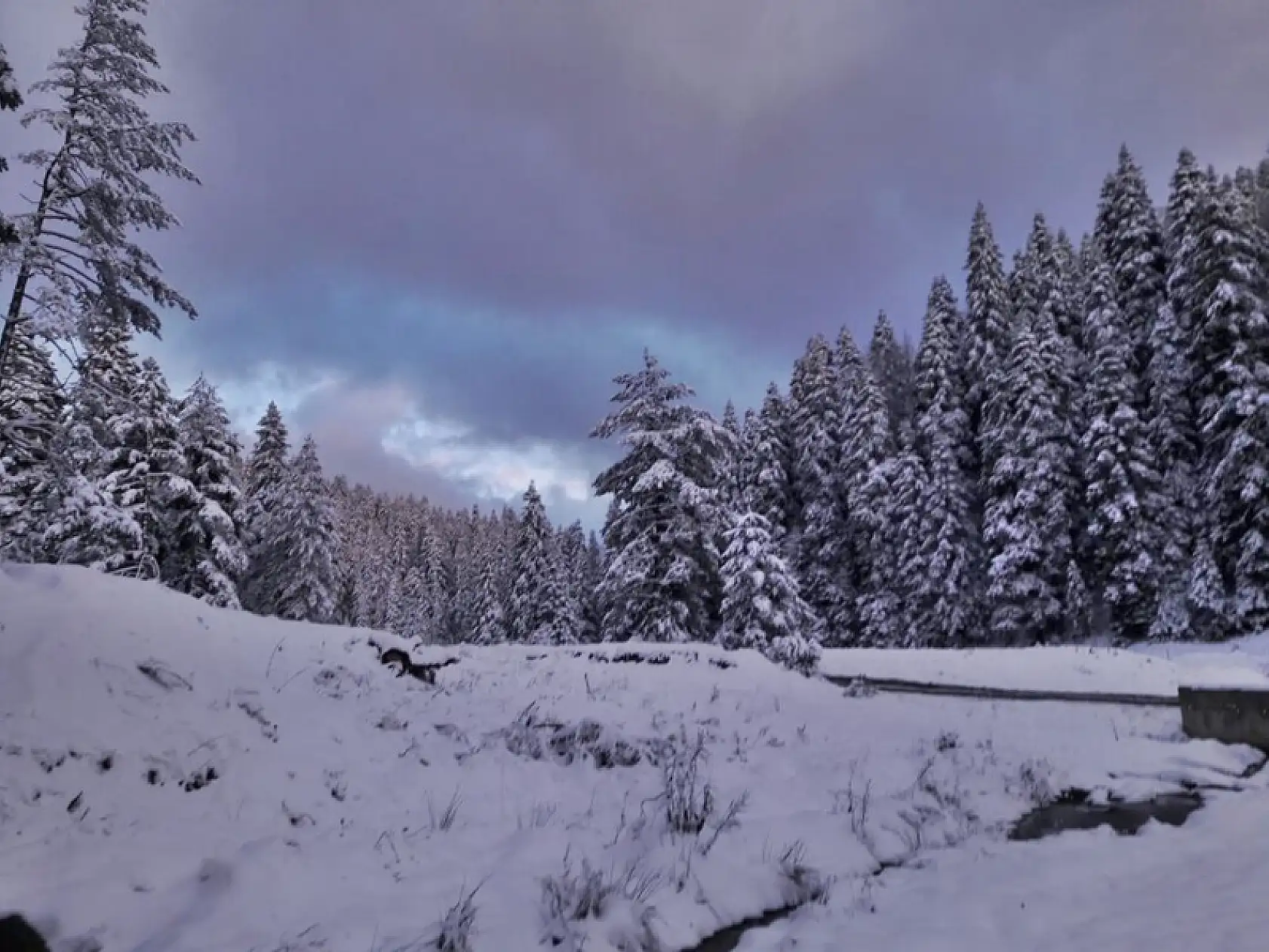 Kumluca yaylalarından kar manzaraları