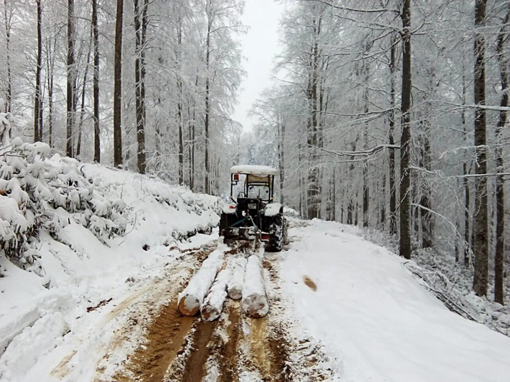 Kumluca yaylalarından kar manzaraları