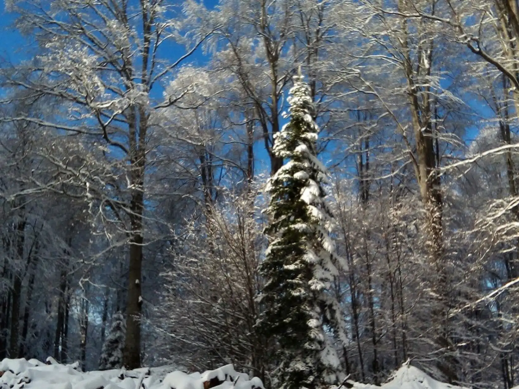 Kumluca yaylalarından kar manzaraları