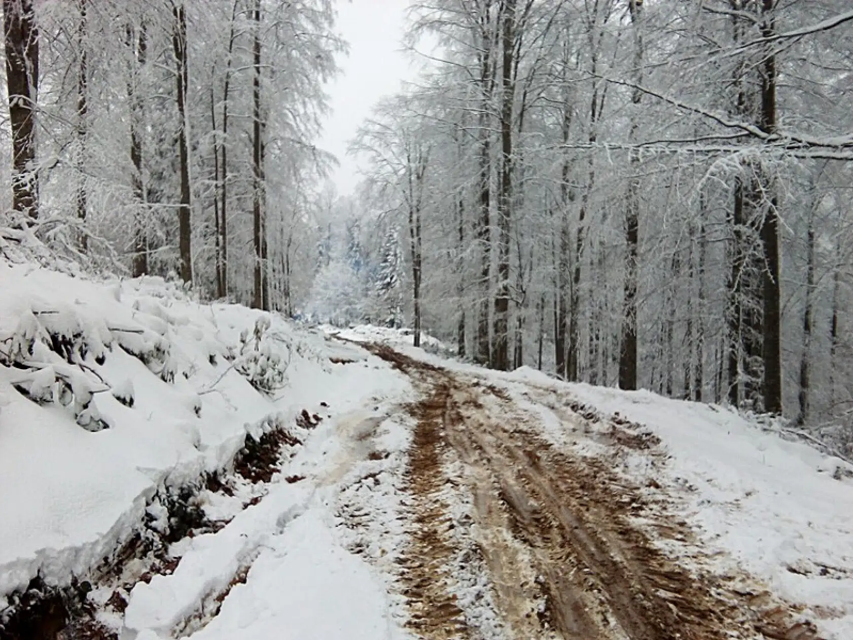 Kumluca yaylalarından kar manzaraları