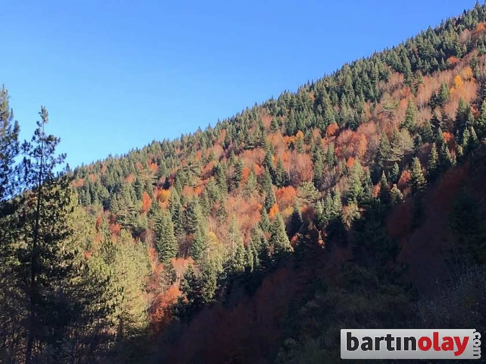 Küre dağlarından eşsiz manzaralar