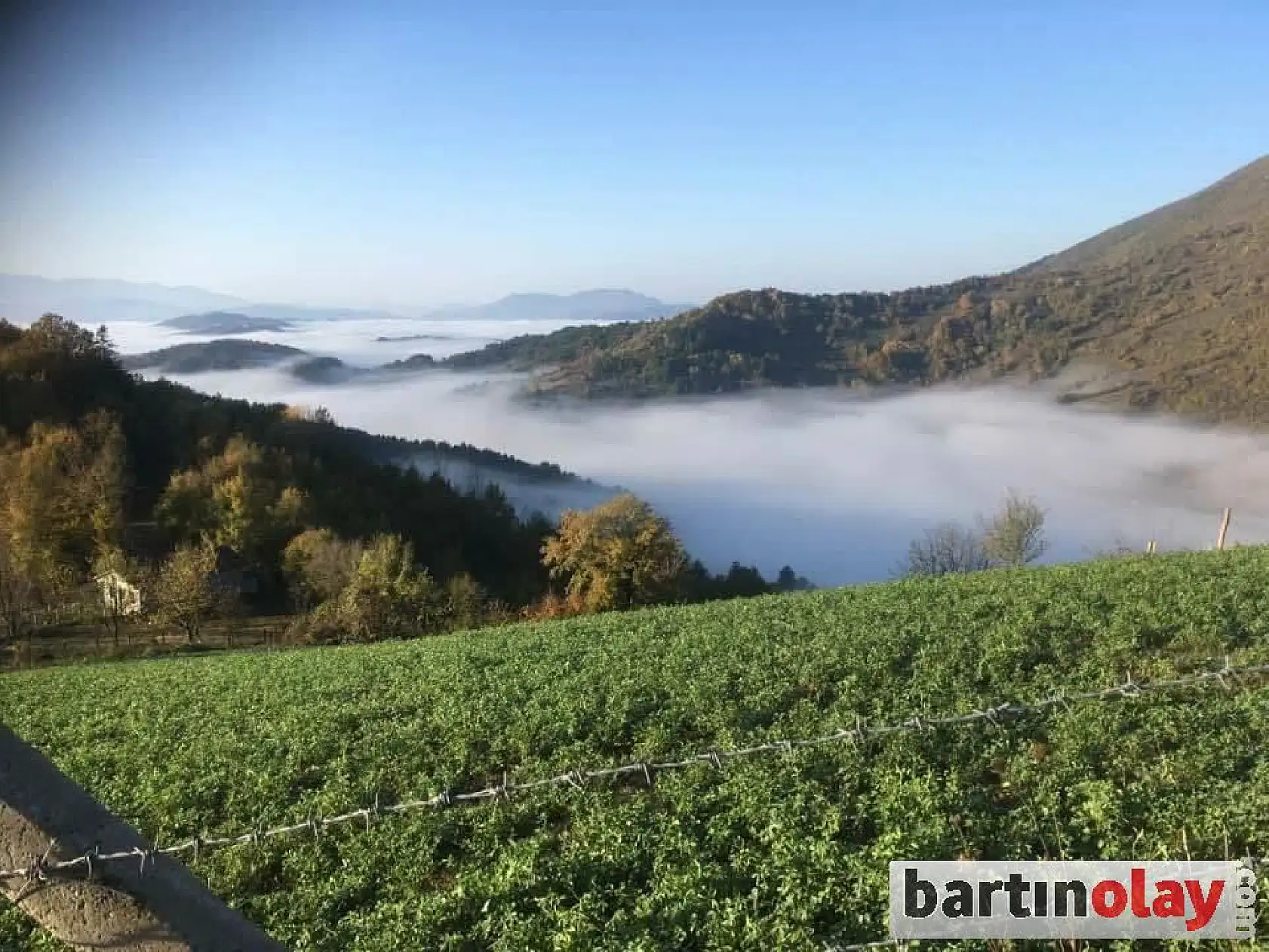 Küre dağlarından eşsiz manzaralar