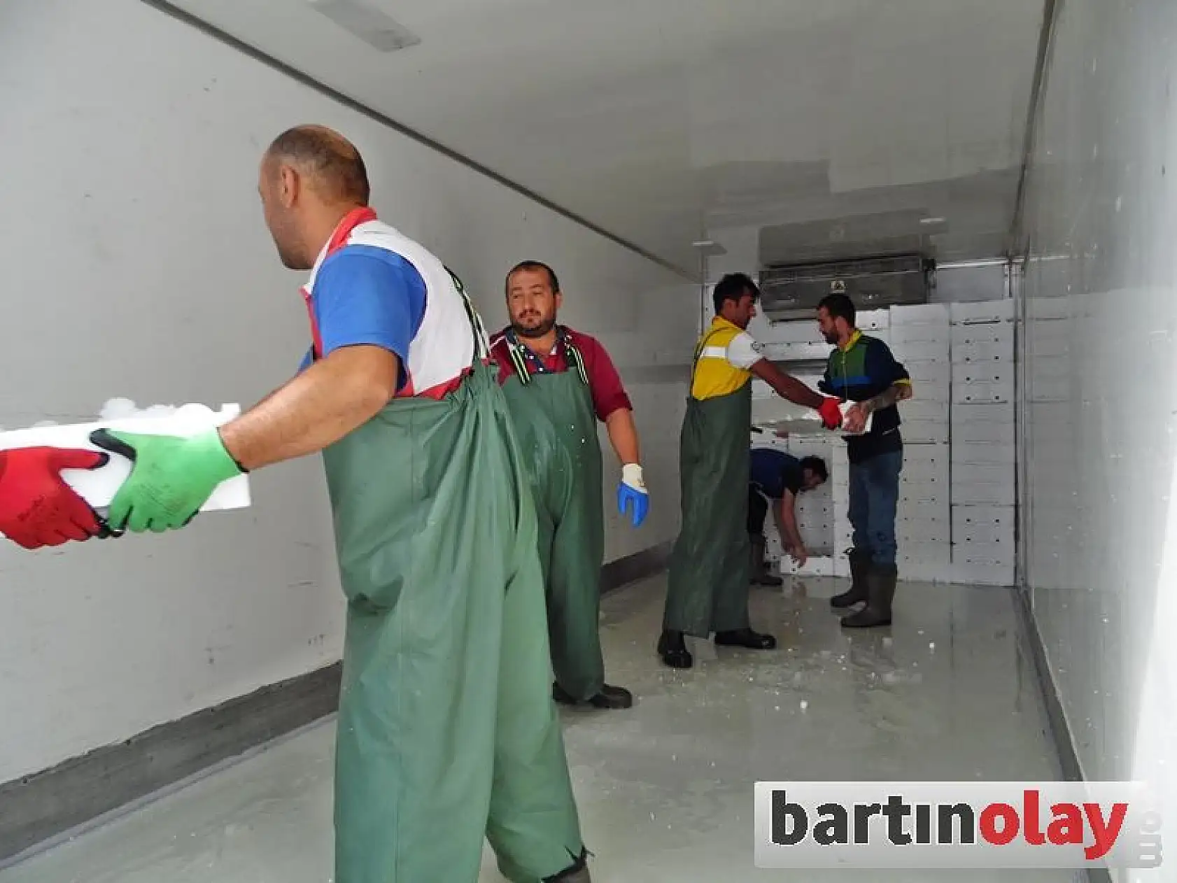 Kurucaşile'de Palamut Bereketi