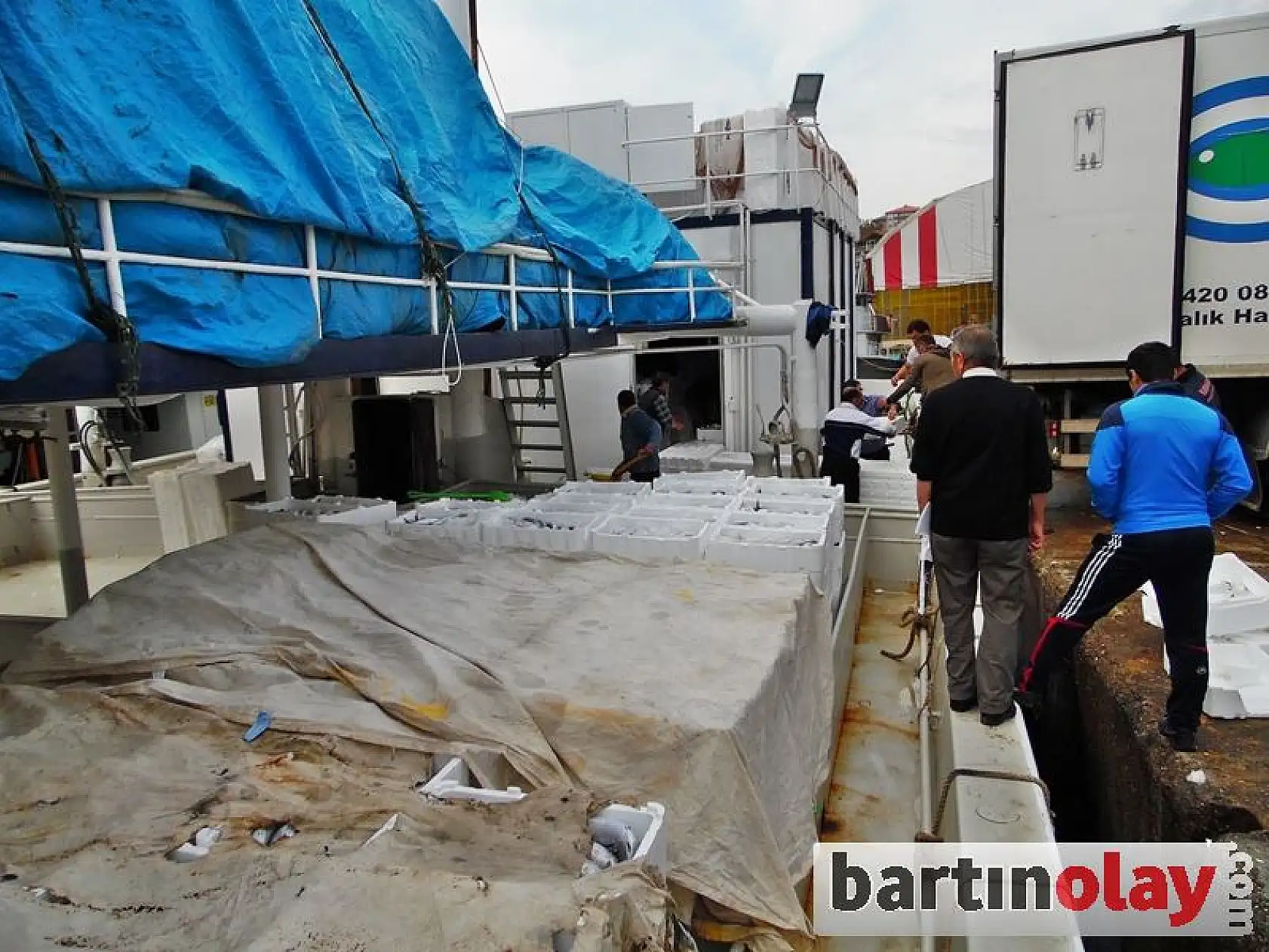 Kurucaşile'de Palamut Bereketi