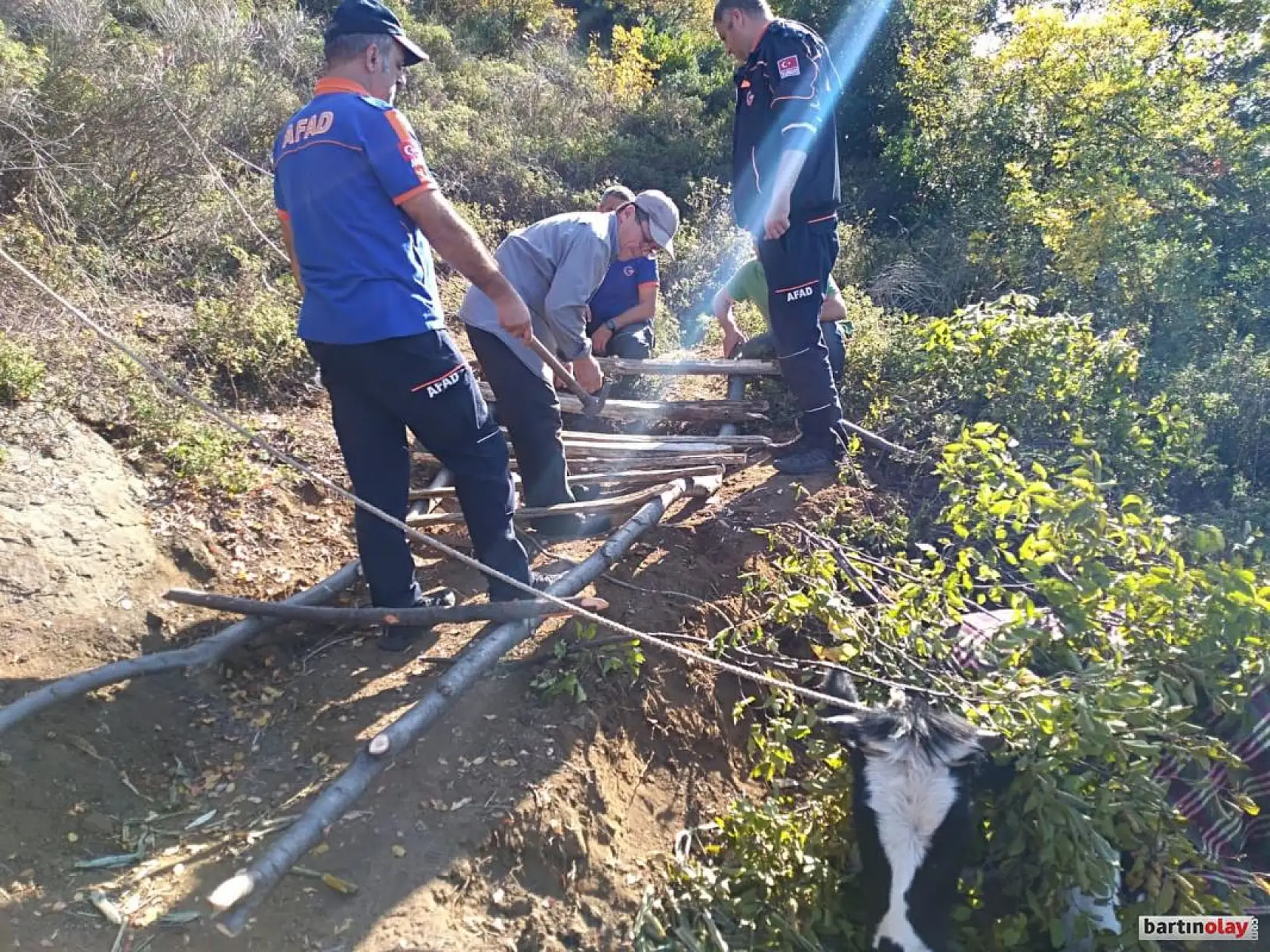 Mahsur kalan inek ağaç sedye ile kurtarıldı