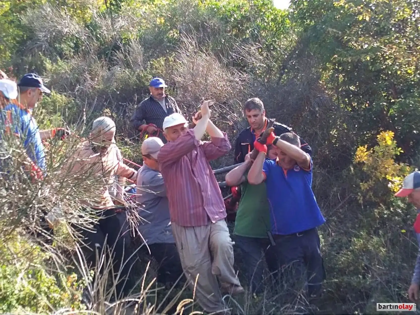 Mahsur kalan inek ağaç sedye ile kurtarıldı