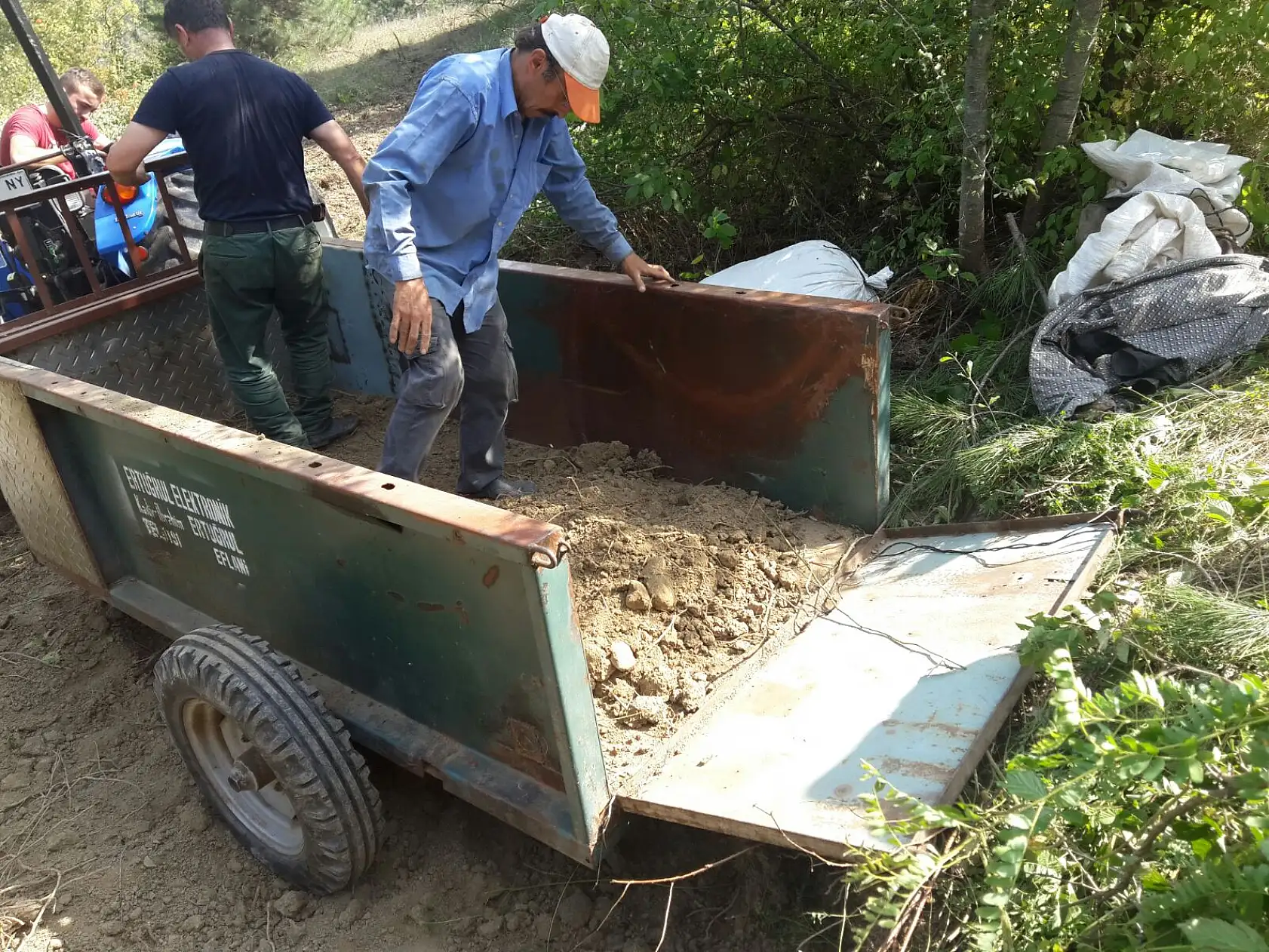 Mahsur kalan inek kurtarıldı
