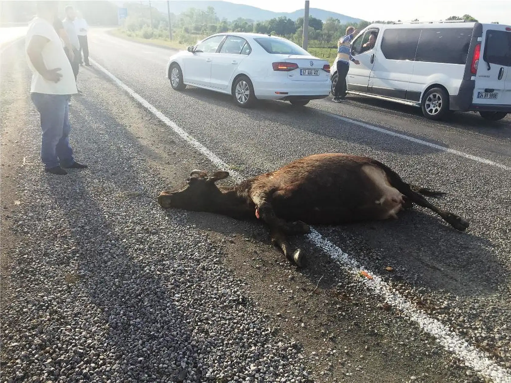 Otomobil hurdaya döndü, 1 can gitti