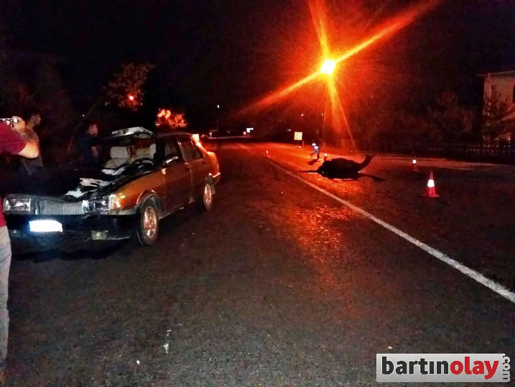 Otomobil önüne çıkan ata çarptı